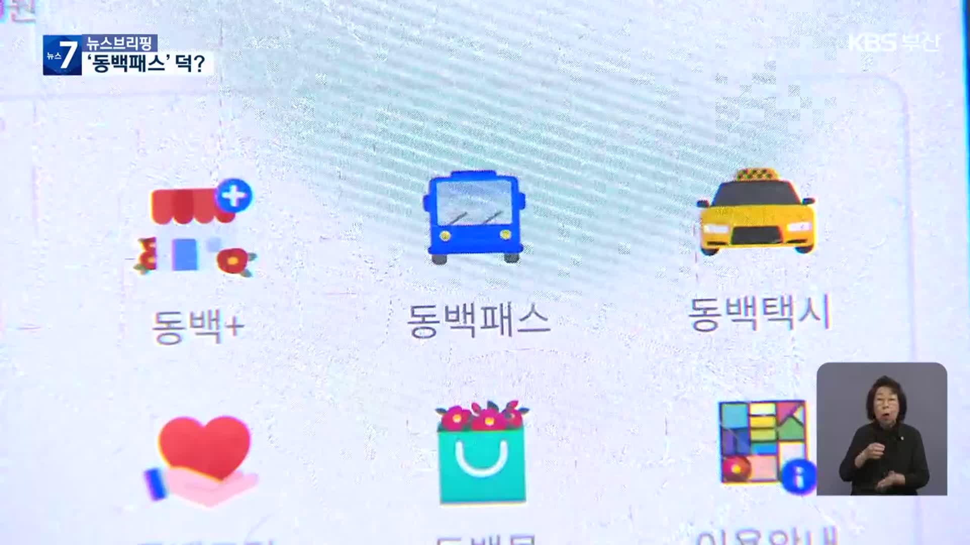 동백패스 사업 순항? ‘외국인’ 뺐더니…
