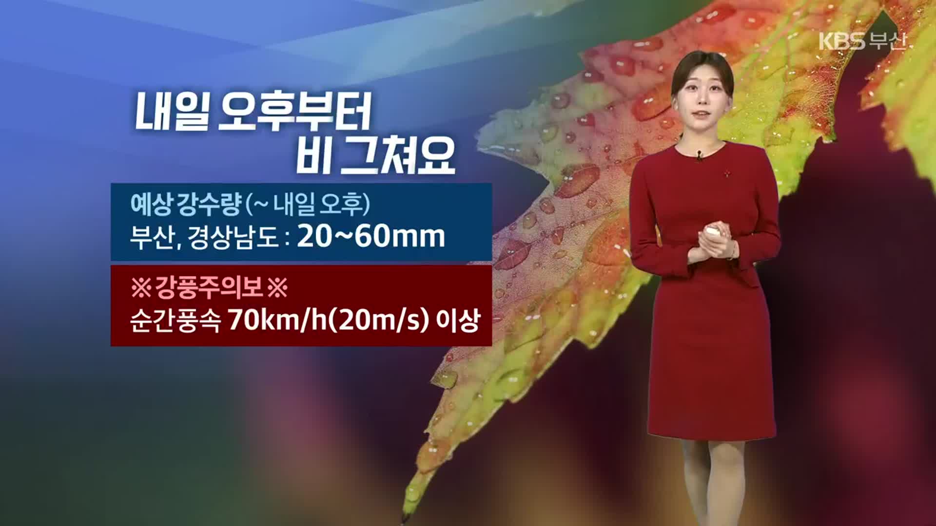 [날씨] 부산 내일 낮까지 최고 60mm 비…강풍주의보