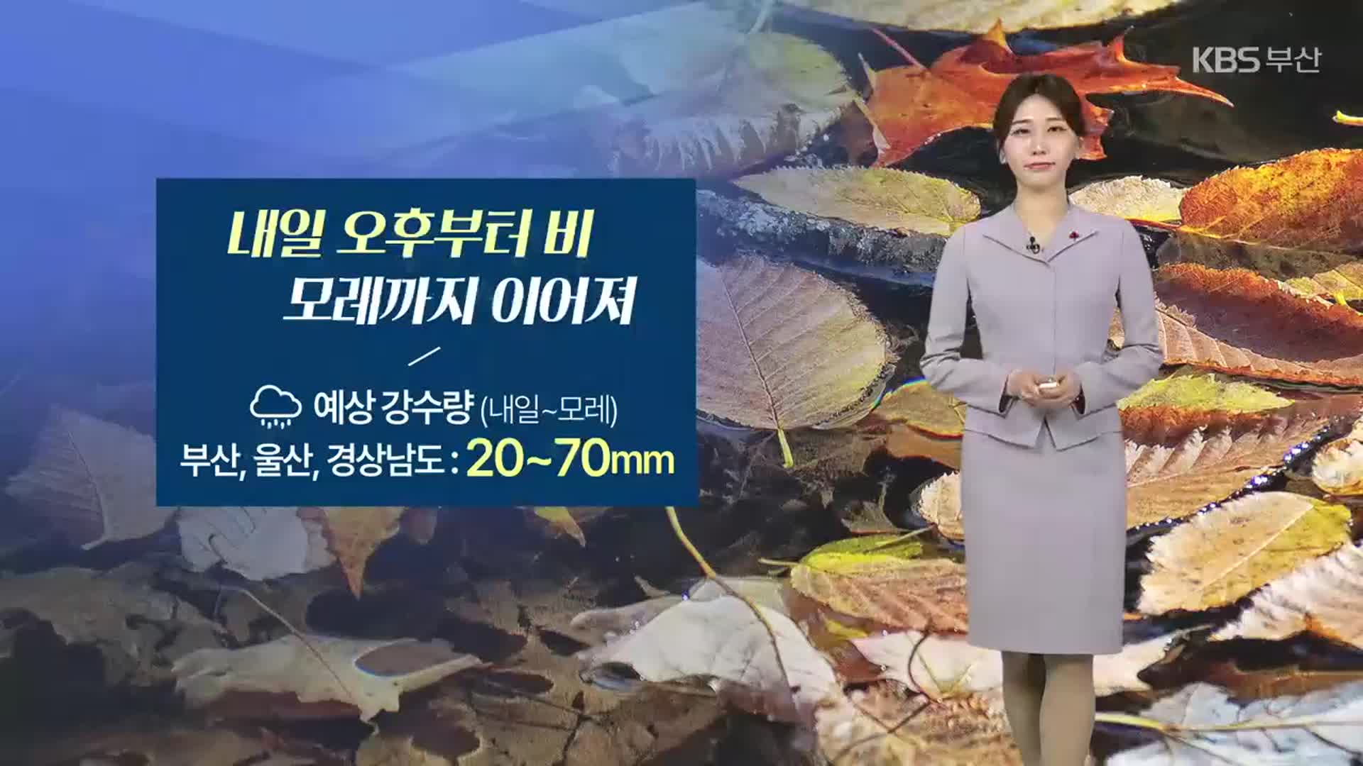 [날씨] 부산 내일 오후부터 겨울비…모레까지 최고 70mm