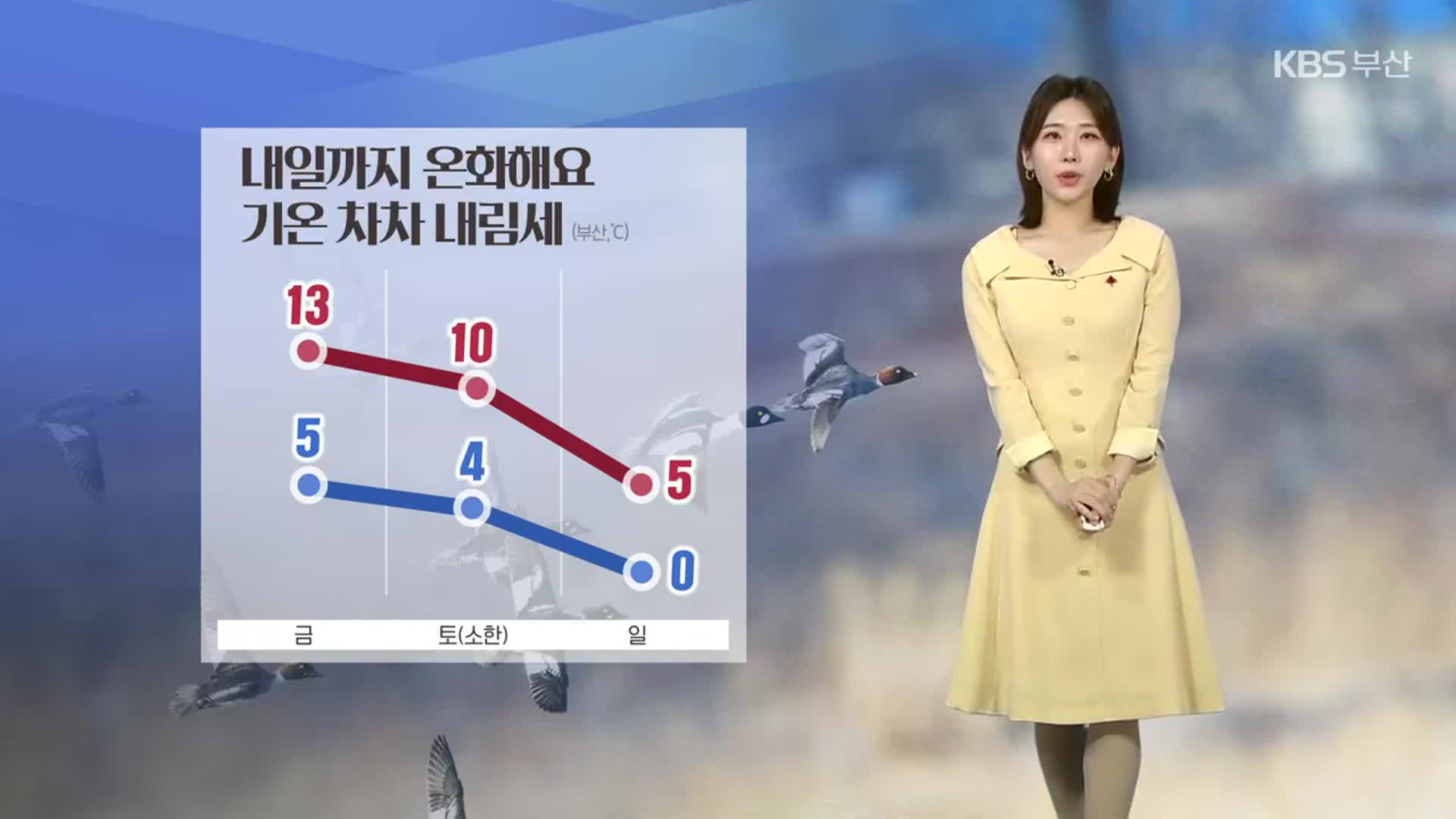 [날씨] 부산 내일까지 온화…기온 차차 내림세