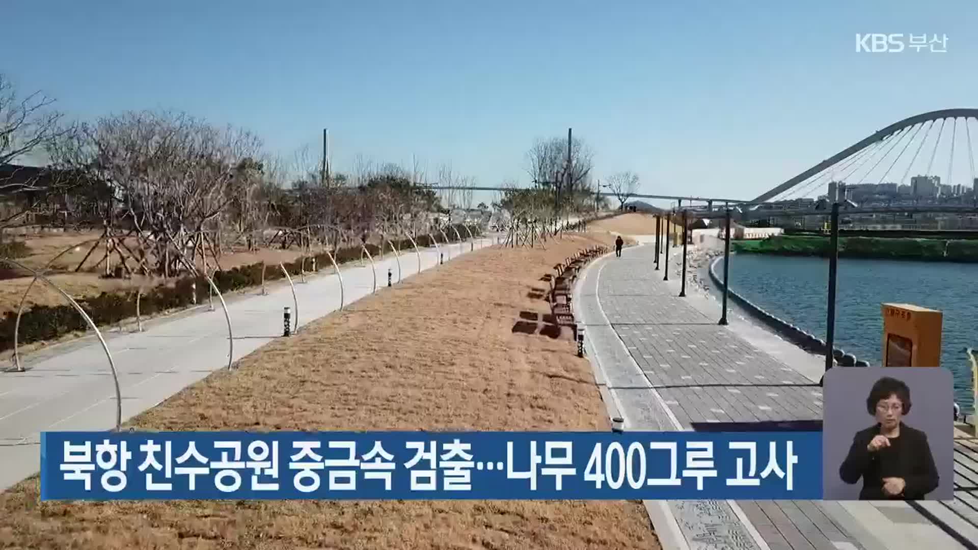 북항 친수공원 중금속 검출…나무 400그루 고사