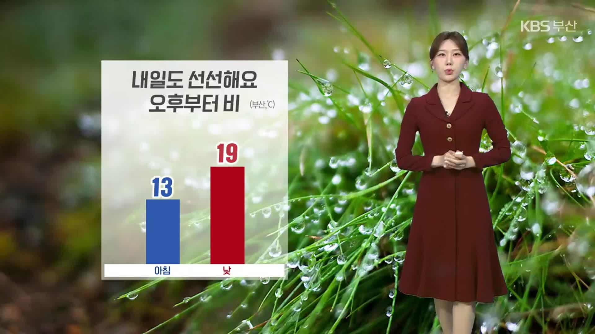 [날씨] 부산 내일도 선선해요…오후부터 비