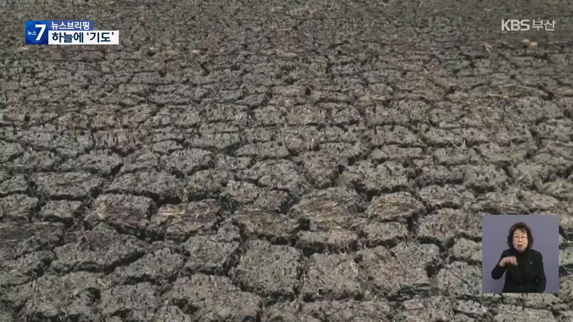 가뭄에 바짝 마른 동남아…피피섬 물 끊기고 기우제까지