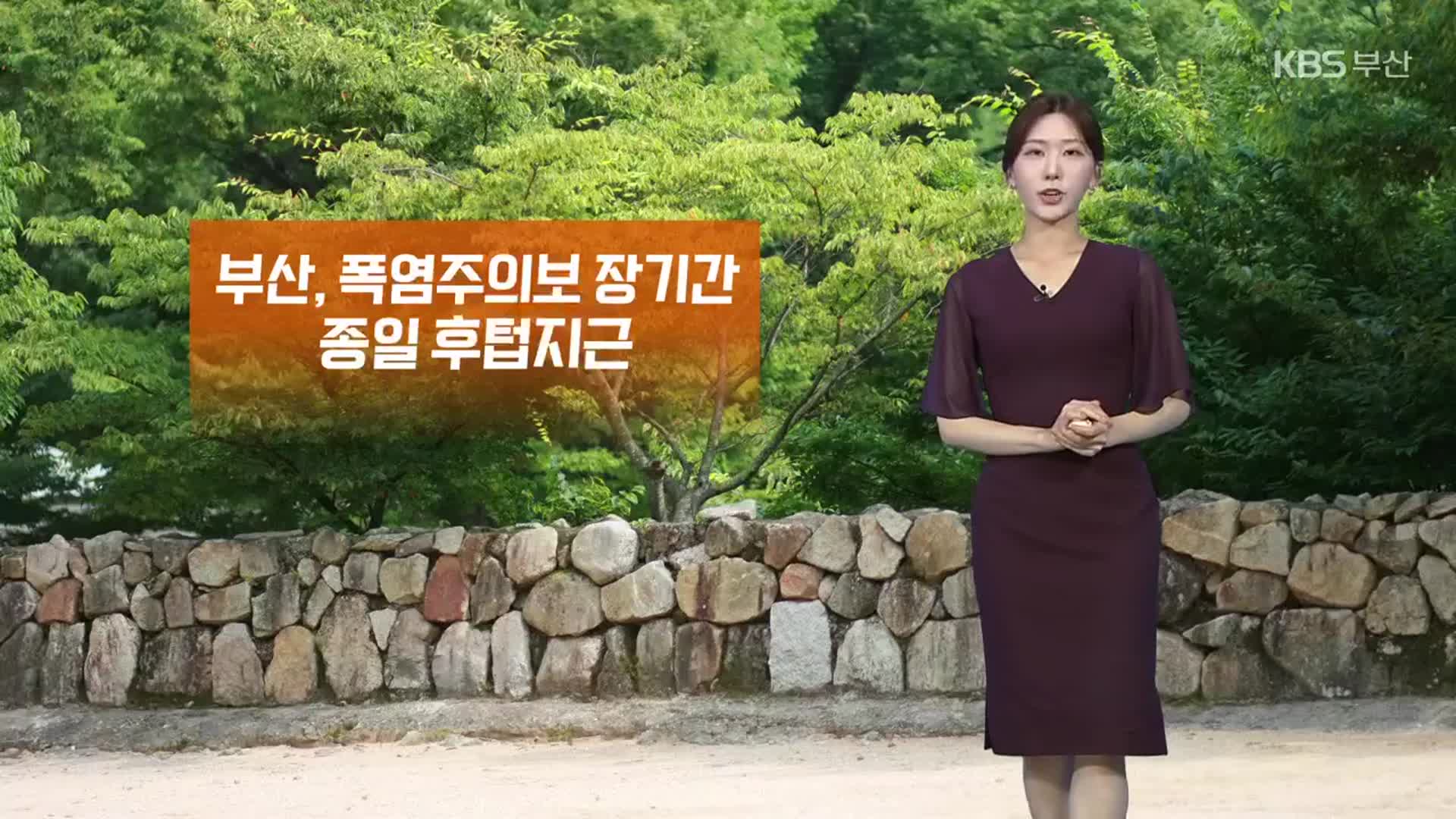 [날씨] 부산 장기간 폭염주의보…당분간 곳곳 소나기