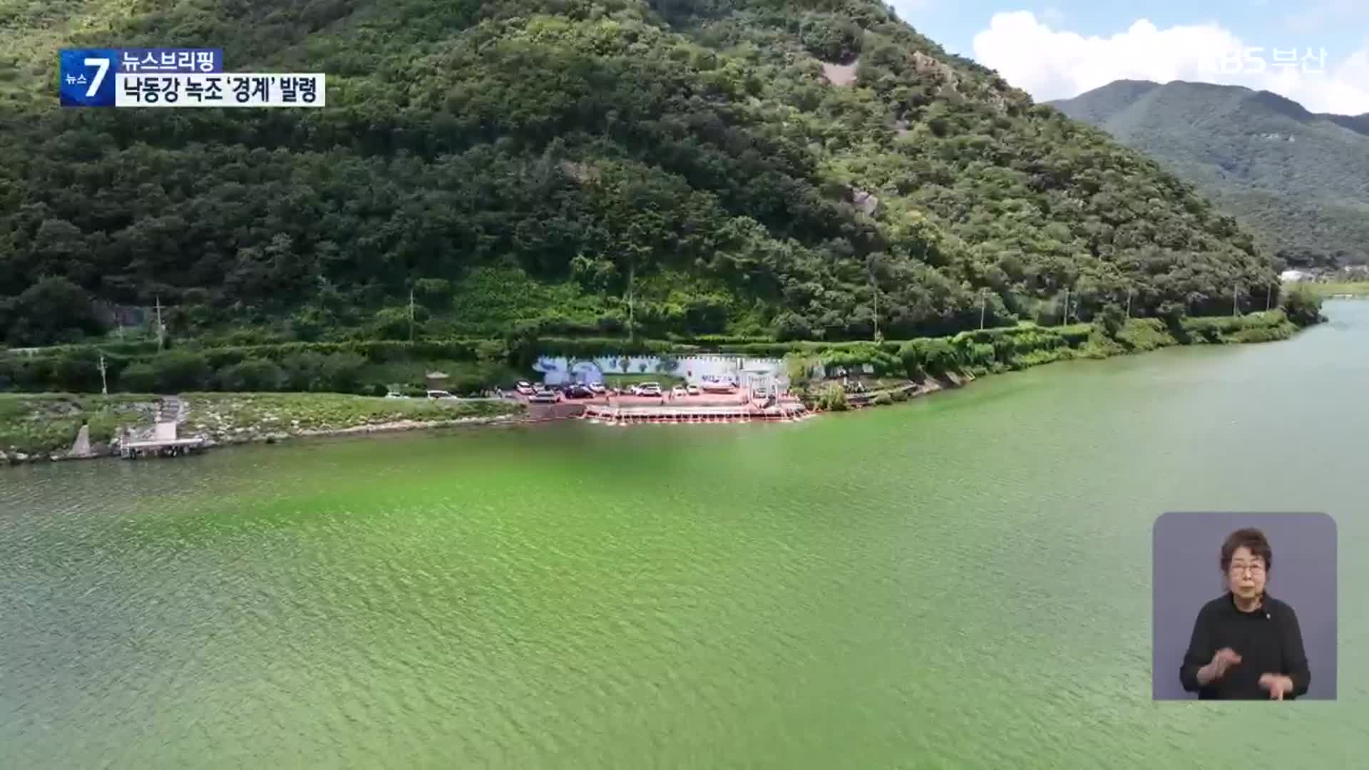 낙동강 녹조 ‘악화일로’…실태 조사·대책 ‘한계’