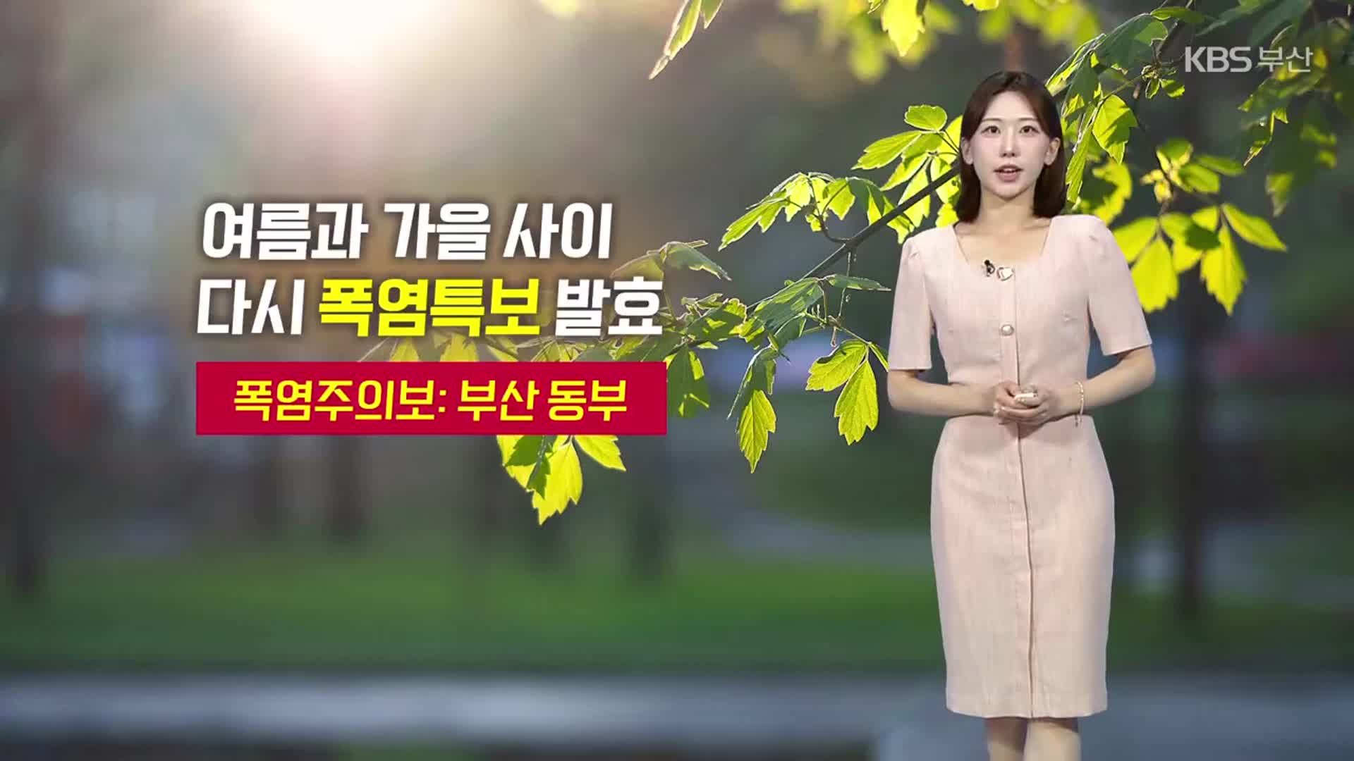 [날씨] 부산 곳곳 폭염주의보…내일~모레 소나기