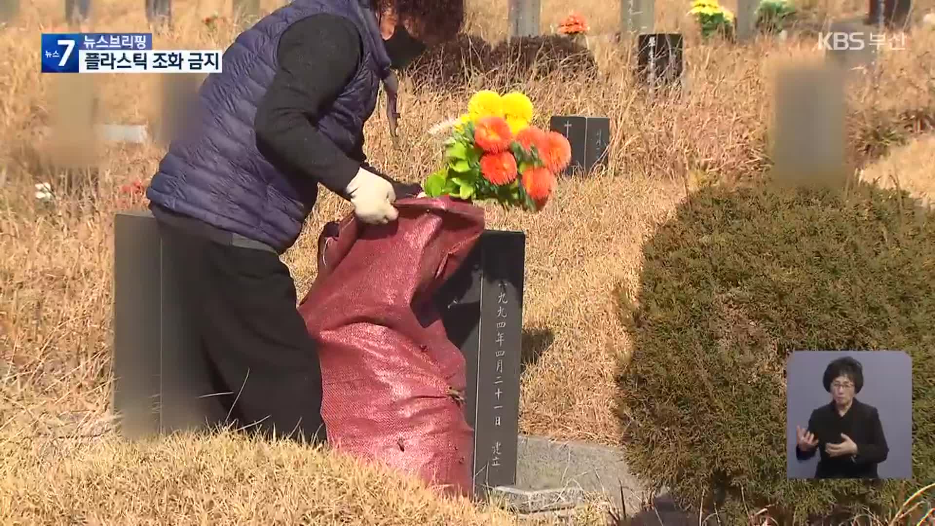 플라스틱 조화 금지…“탄소 감축 기대”