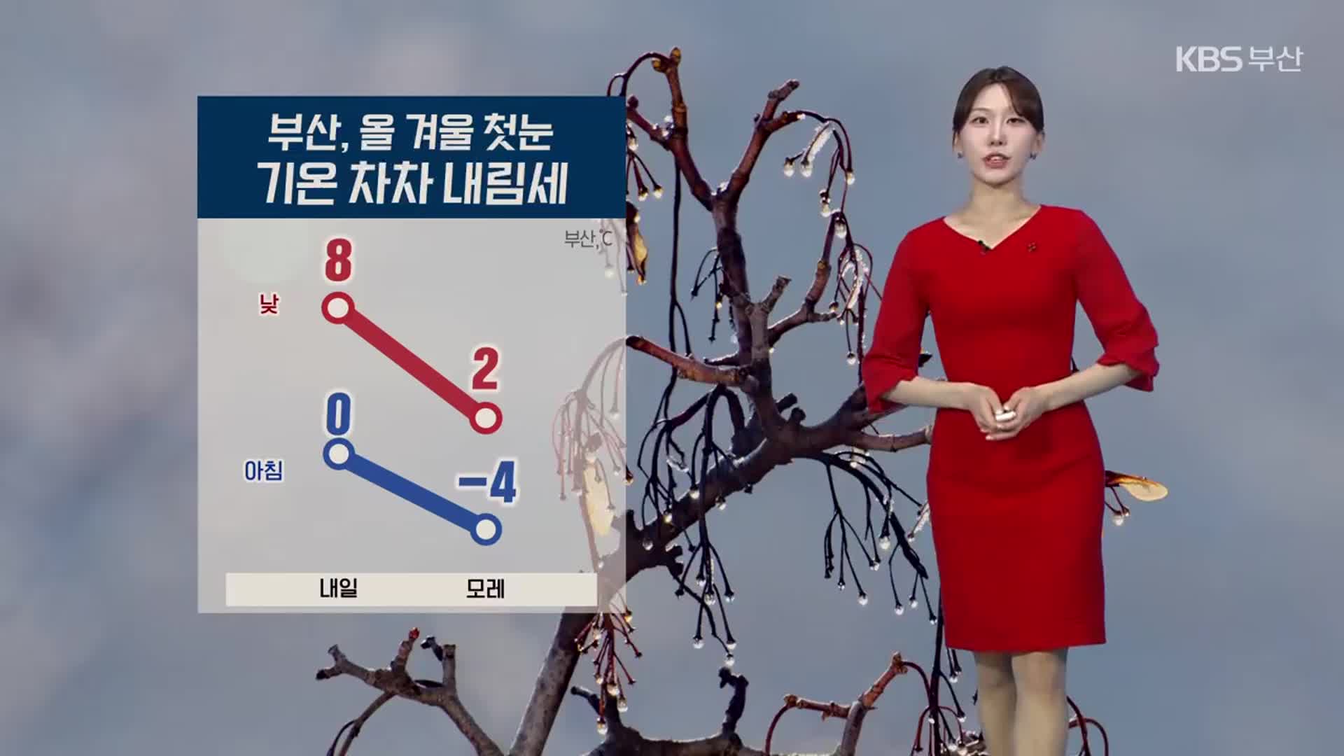 [날씨] 부산 올 겨울 첫 눈, 기온 내림세…주말 아침까지 강추위