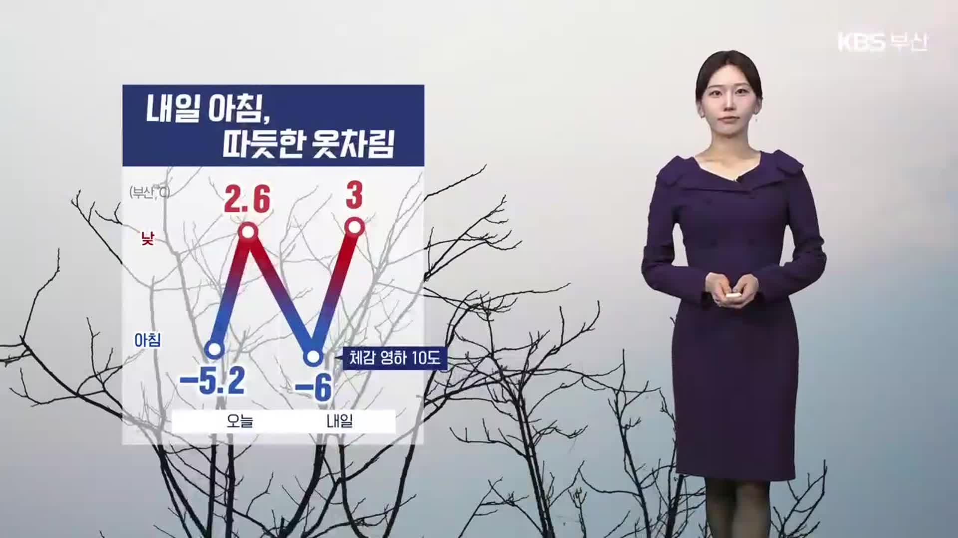 [날씨] 부산 내일 아침 영하 6도…이번 주 강추위