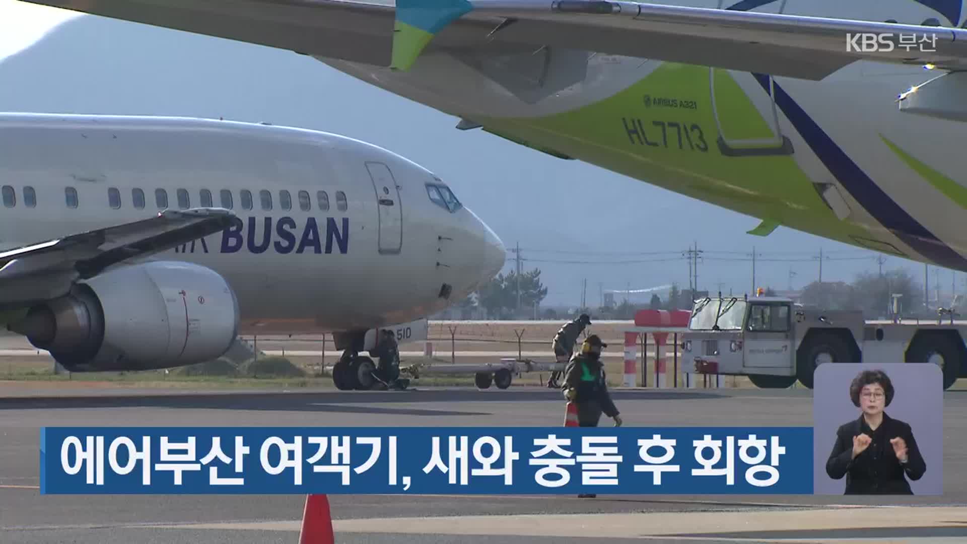 에어부산 여객기, 새와 충돌 후 회항