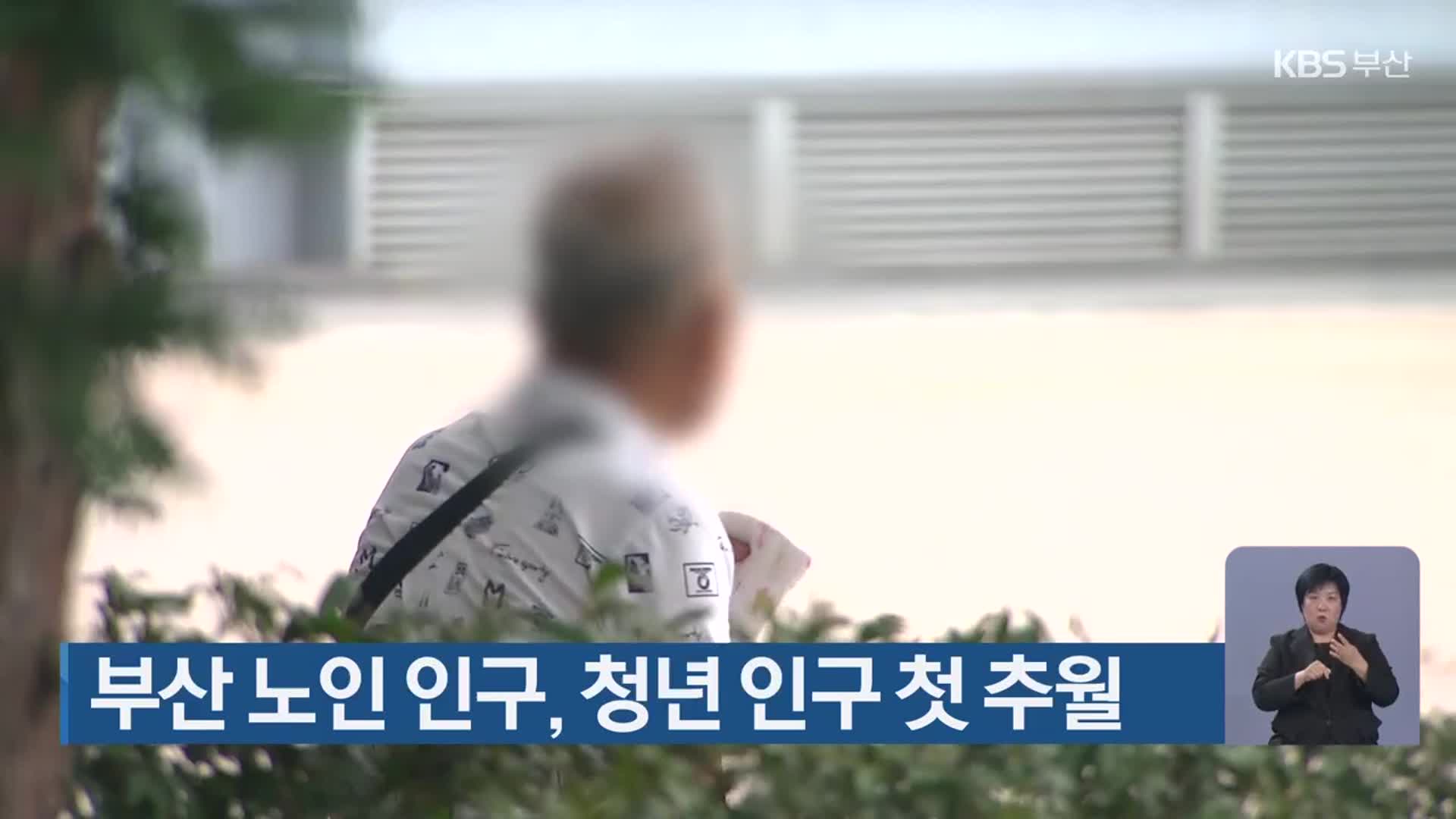 부산 노인 인구, 청년 인구 첫 추월