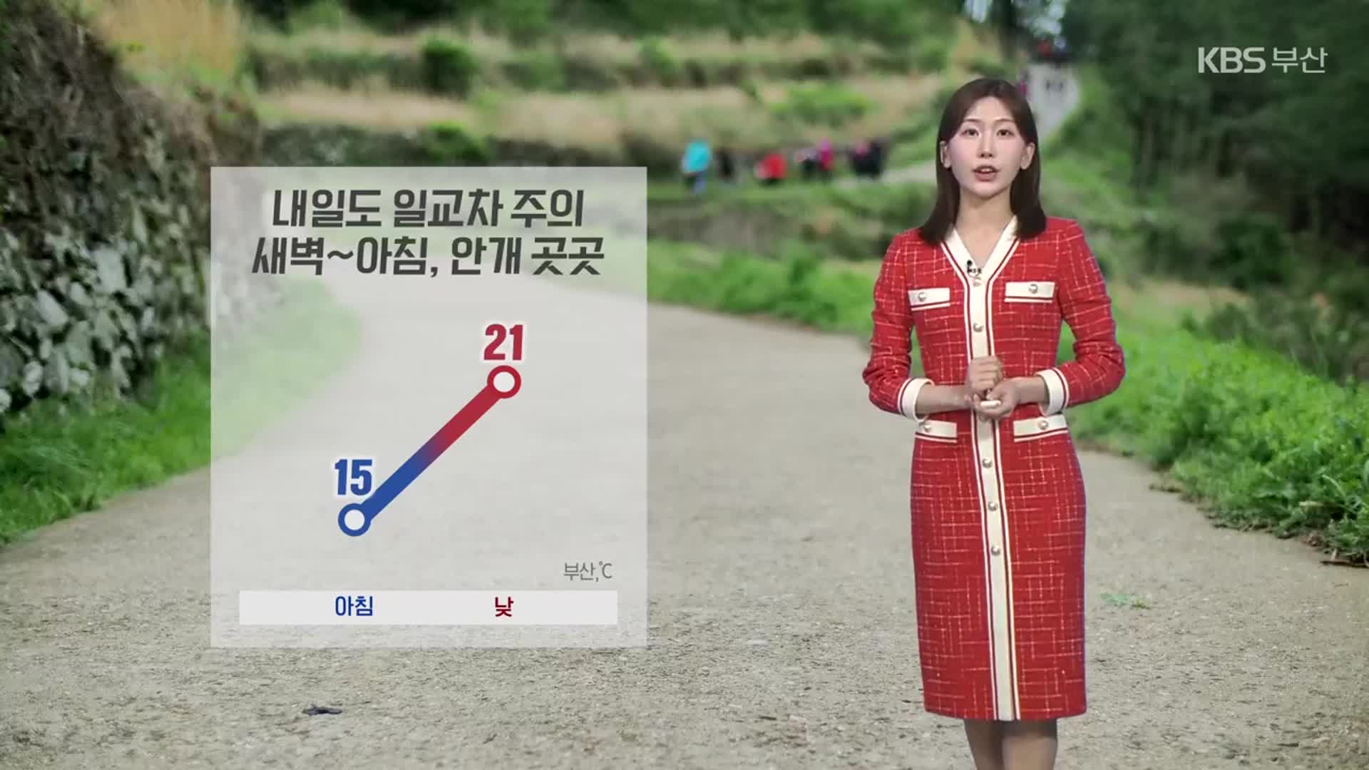 [날씨] 부산 내일도 일교차 주의…새벽~아침 곳곳 안개