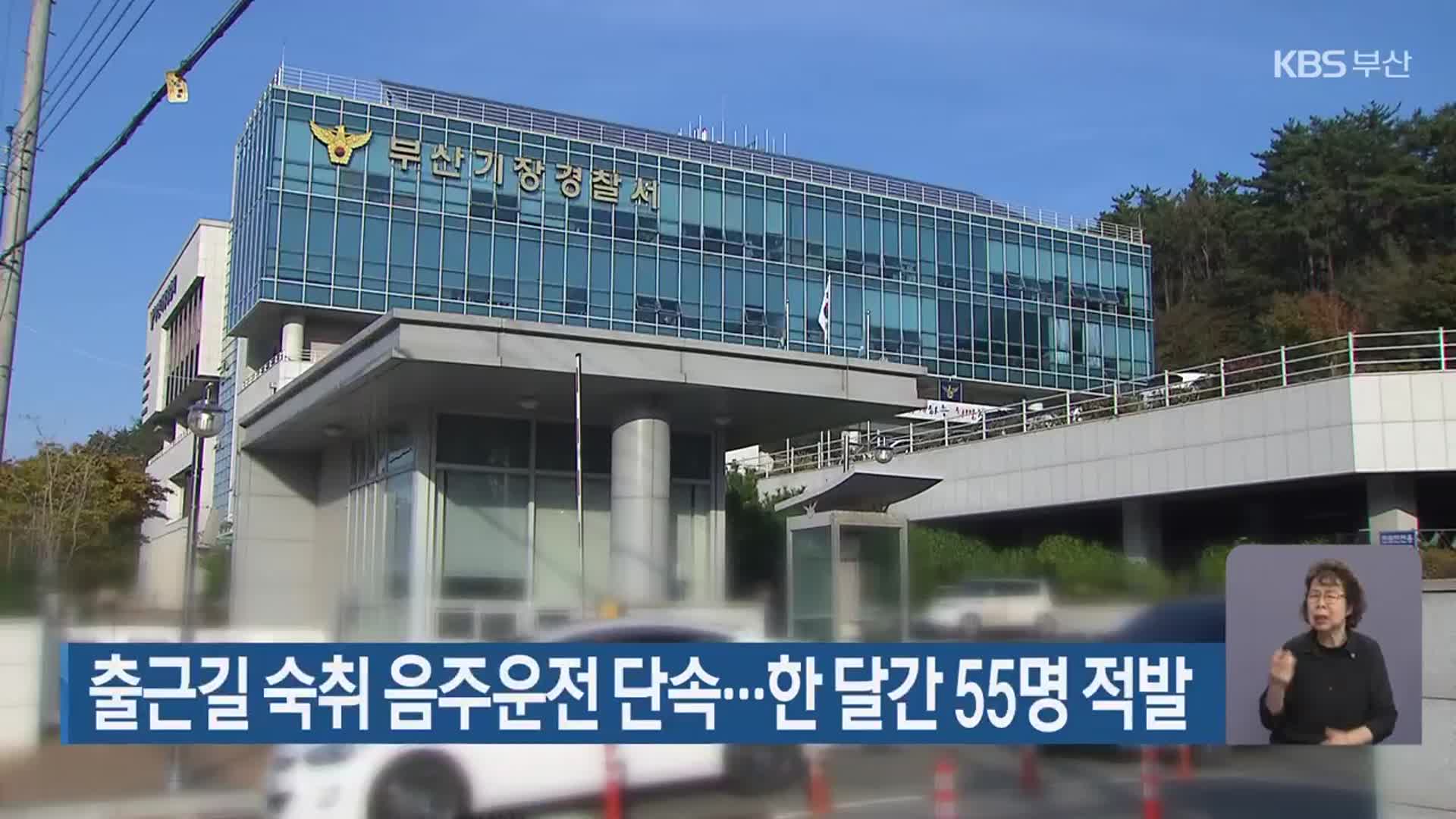 출근길 숙취 음주운전 단속…한 달간 55명 적발