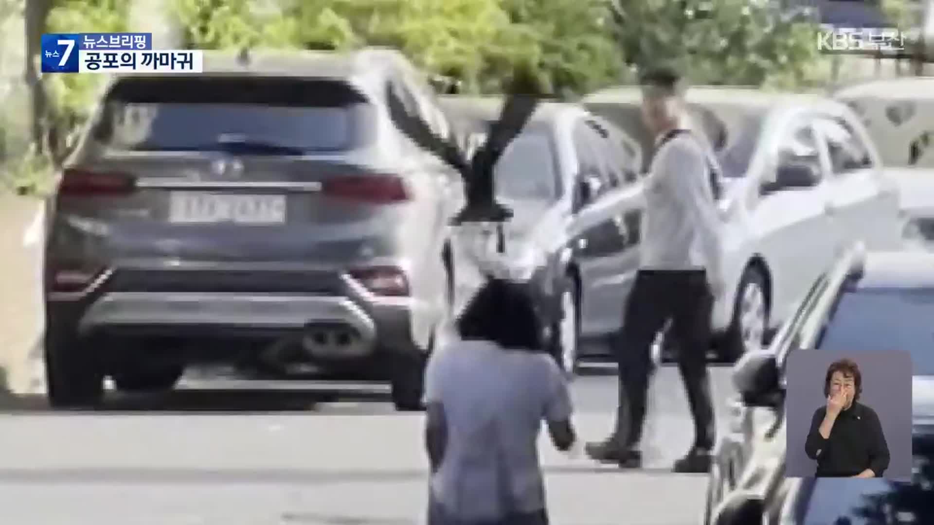 “갑자기 머리 공격”…‘공포의 까마귀’