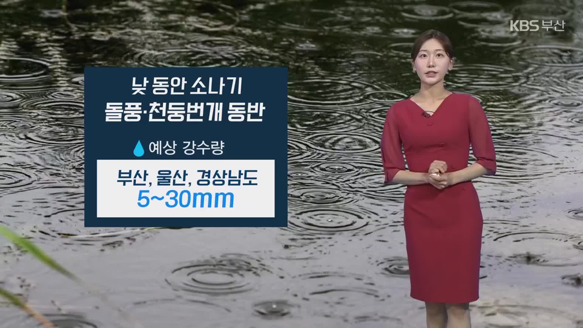 [날씨] 부산 내일 낮 5~30mm 소나기…일교차 주의