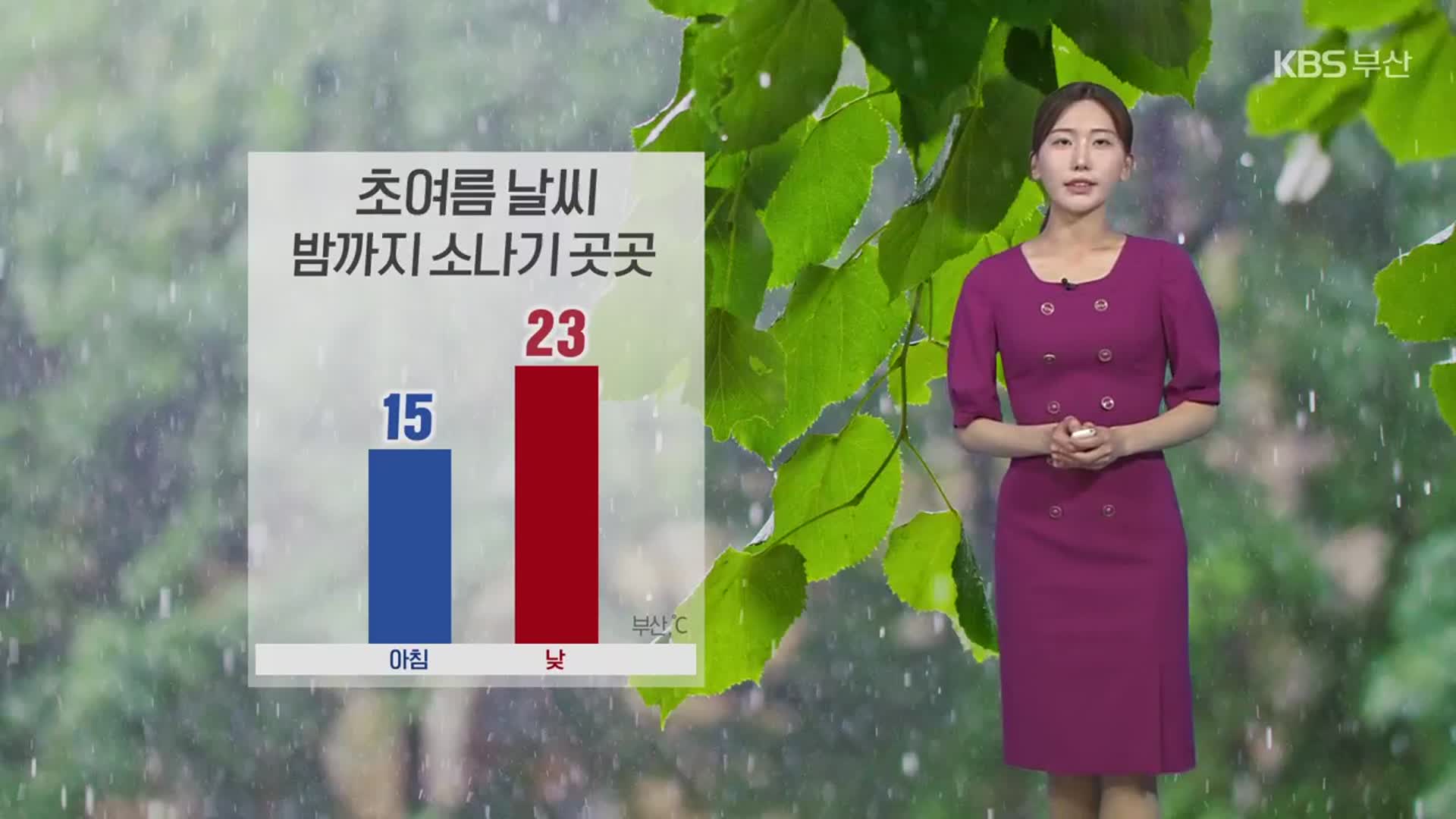 [날씨] 부산 초여름 더위…곳곳 오늘 밤까지 소나기