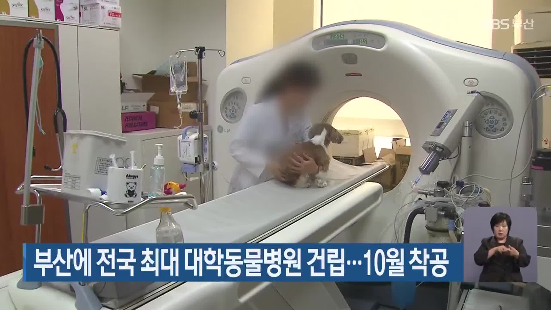 부산에 전국 최대 대학동물병원 건립…10월 착공