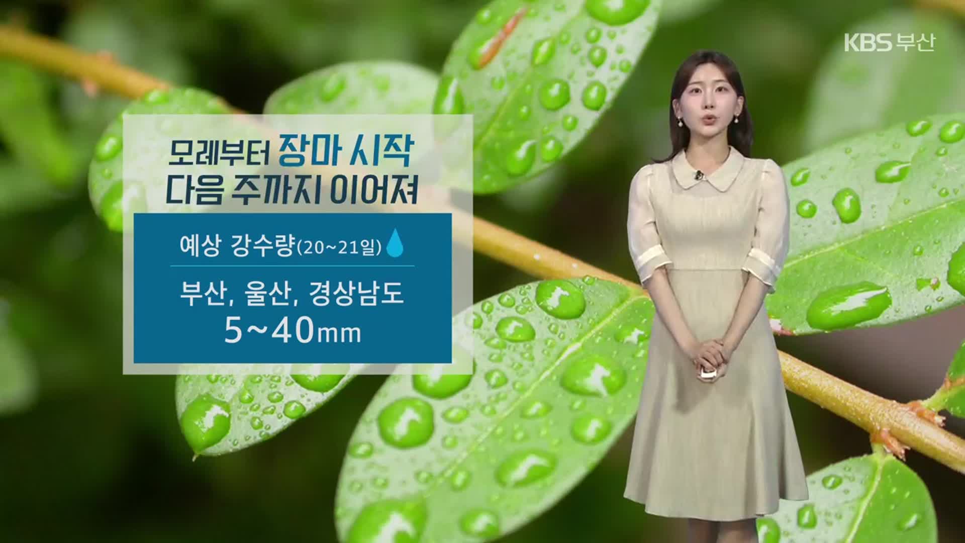 [날씨] 부산 내일도 무더위 계속…모레부터 장마 시작