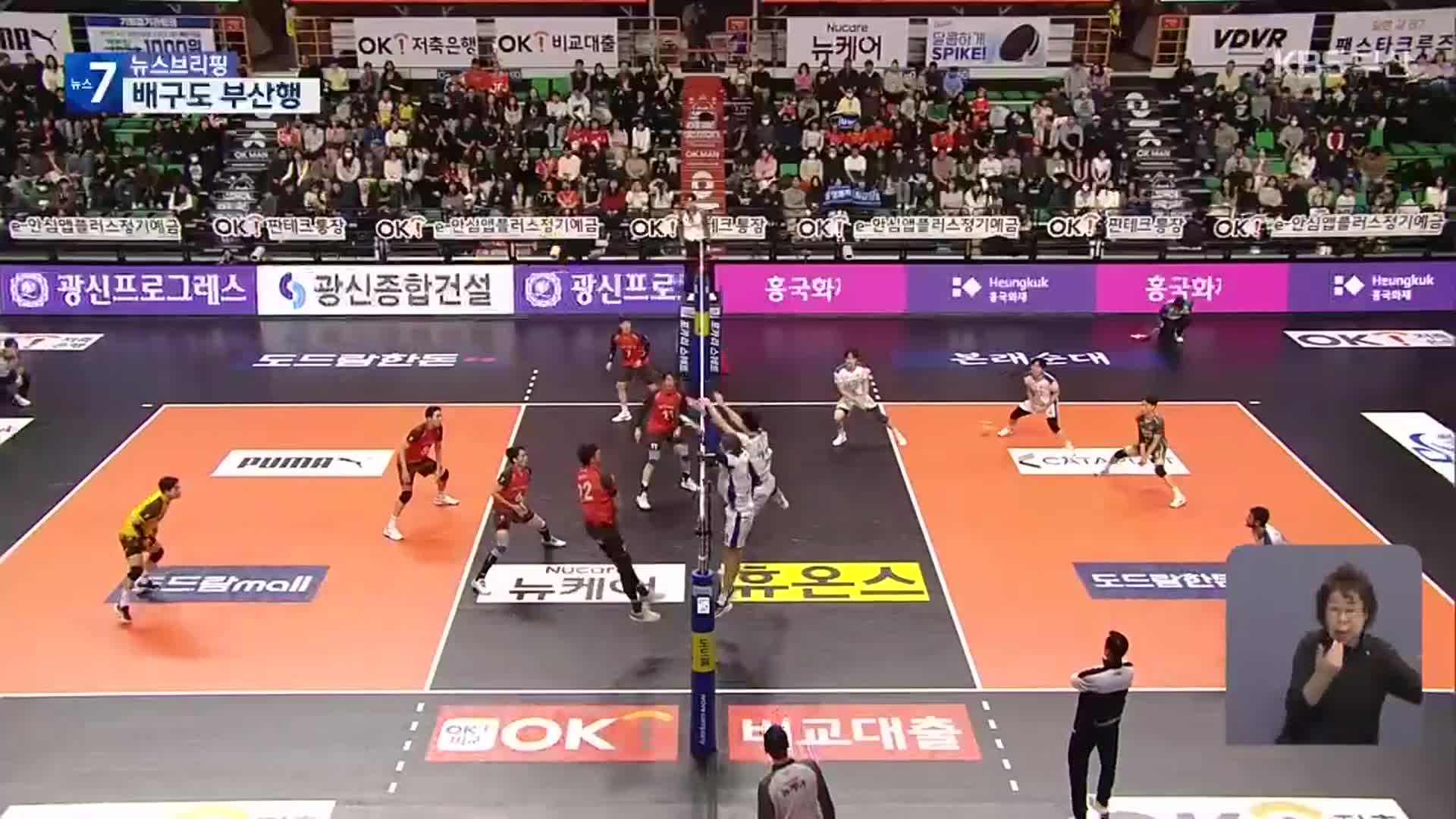 OK저축은행 ‘부산행’…프로 4대 종목 유치