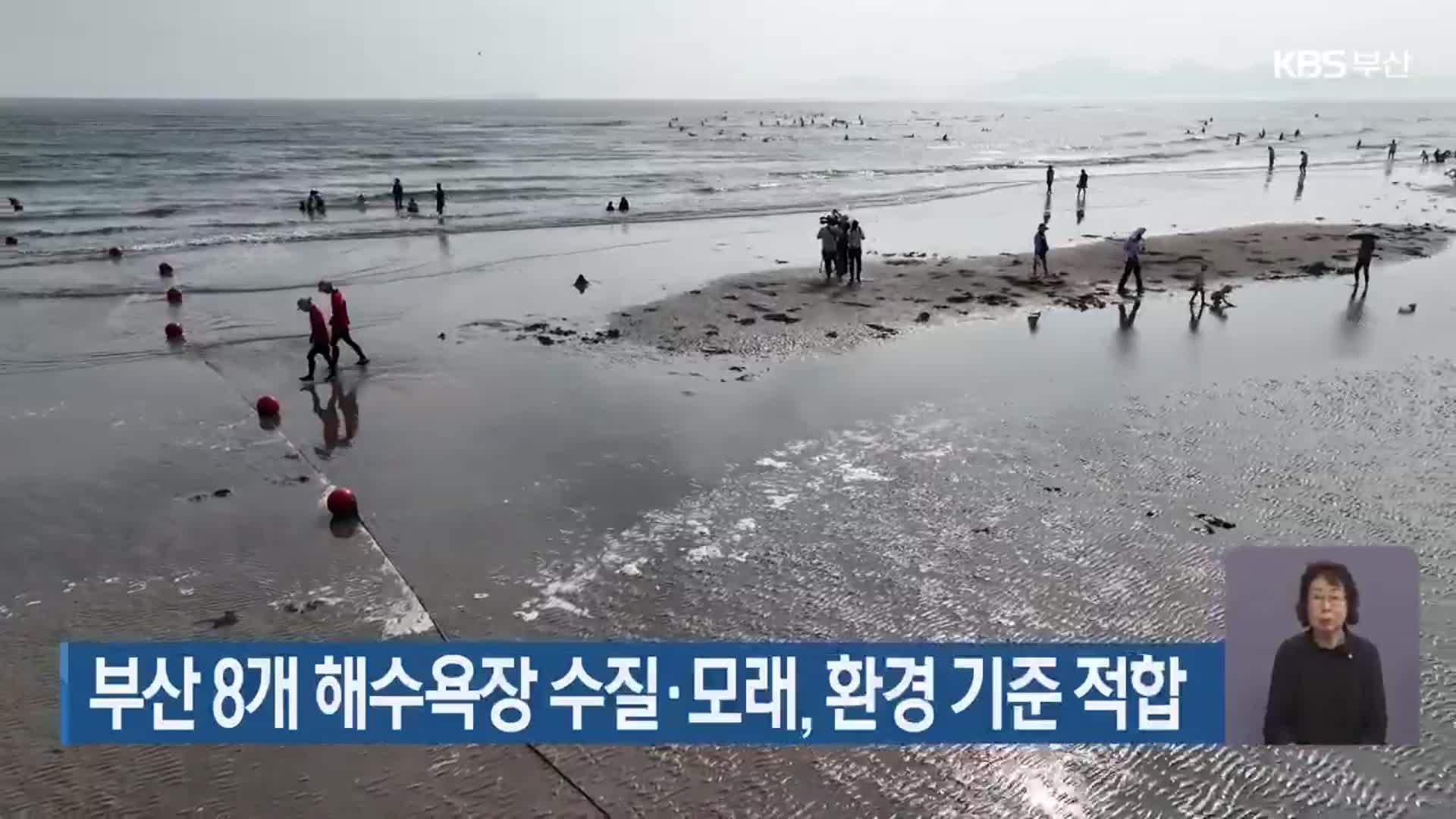 부산 8개 해수욕장 수질·모래, 환경 기준 적합