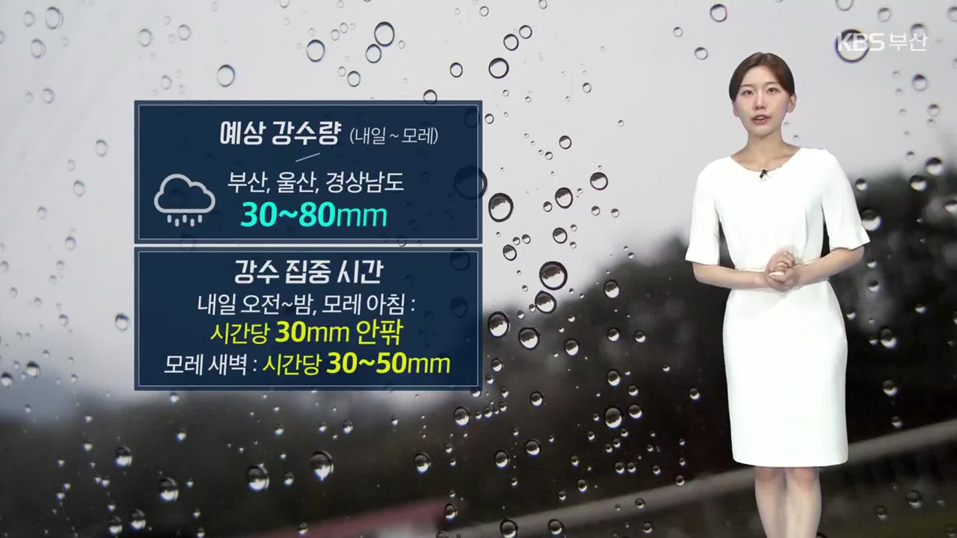 [날씨] 부산 오늘 밤까지 소나기…내일 낮~모레 오전 비