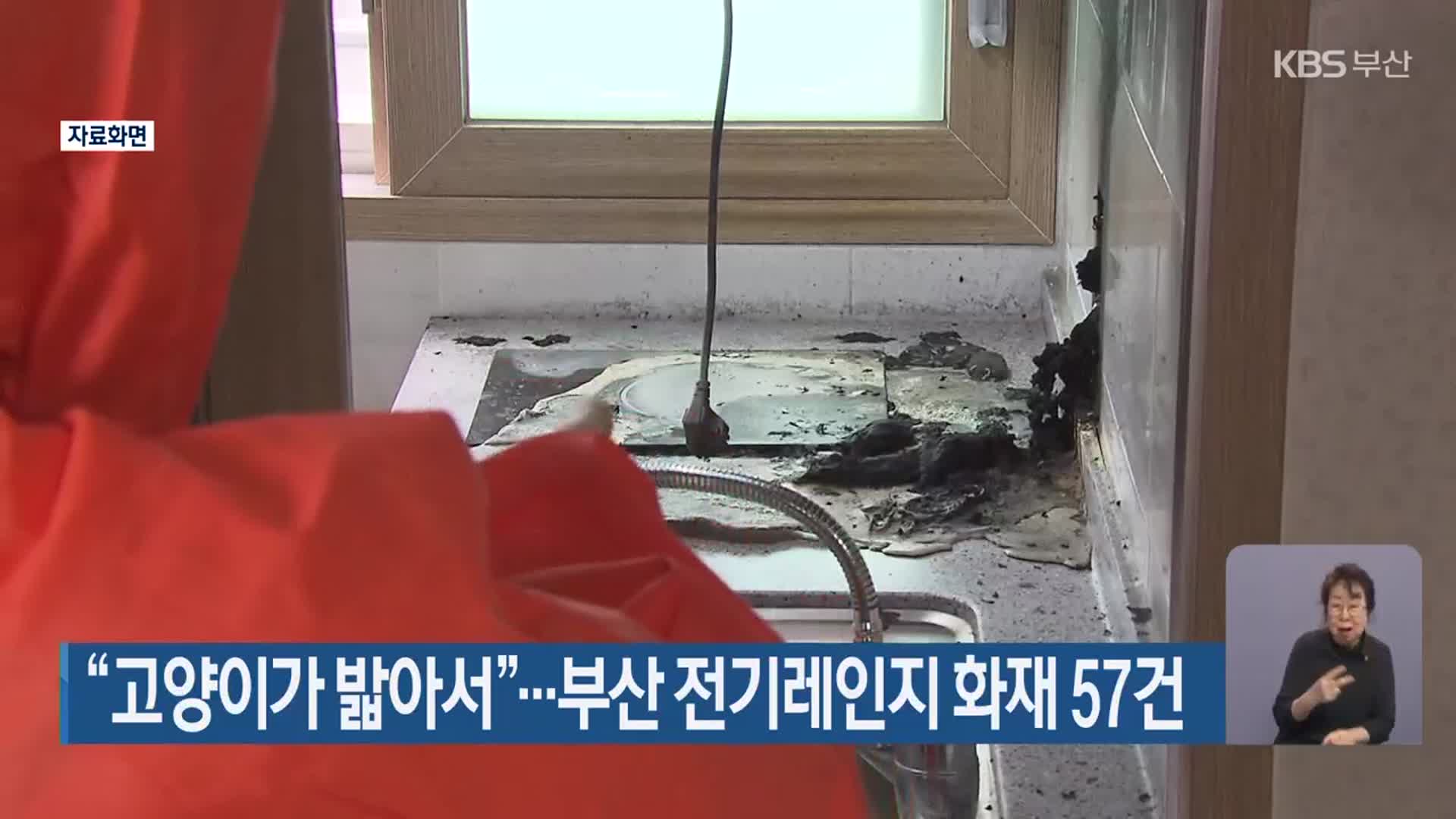“고양이가 밟아서”…부산 전기레인지 화재 57건