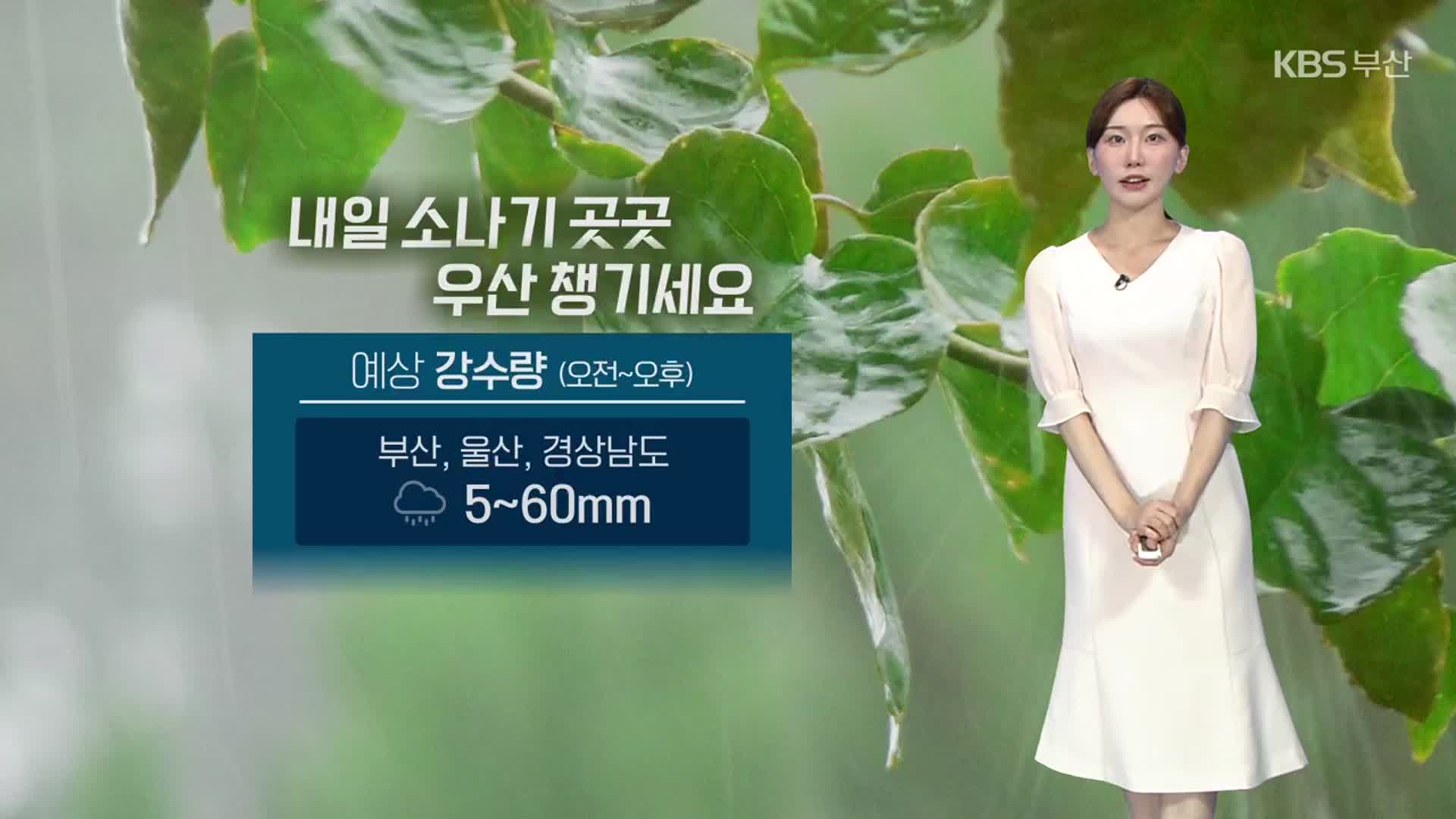 [날씨] 부산 내일 소나기…“우산 꼭 챙기세요”