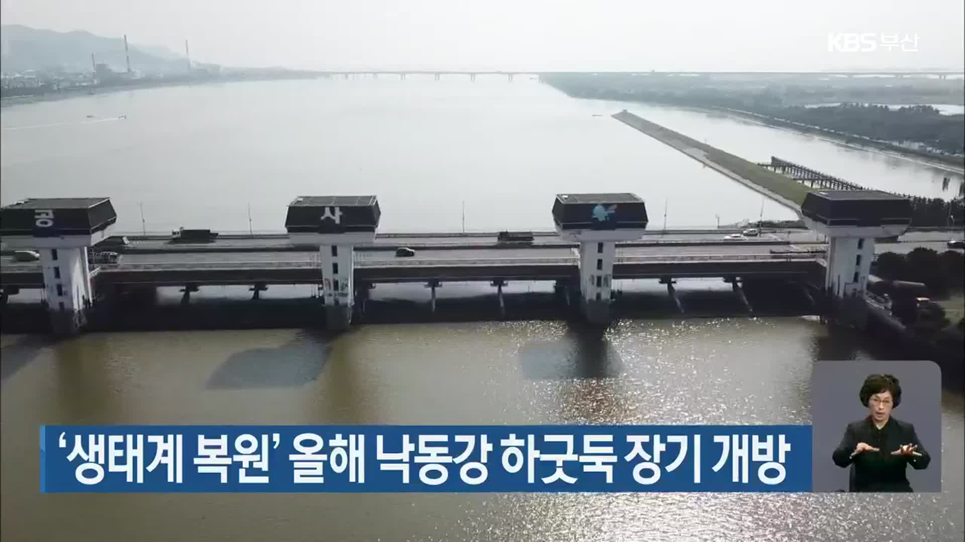 ‘생태계 복원’ 올해 낙동강 하굿둑 장기 개방
