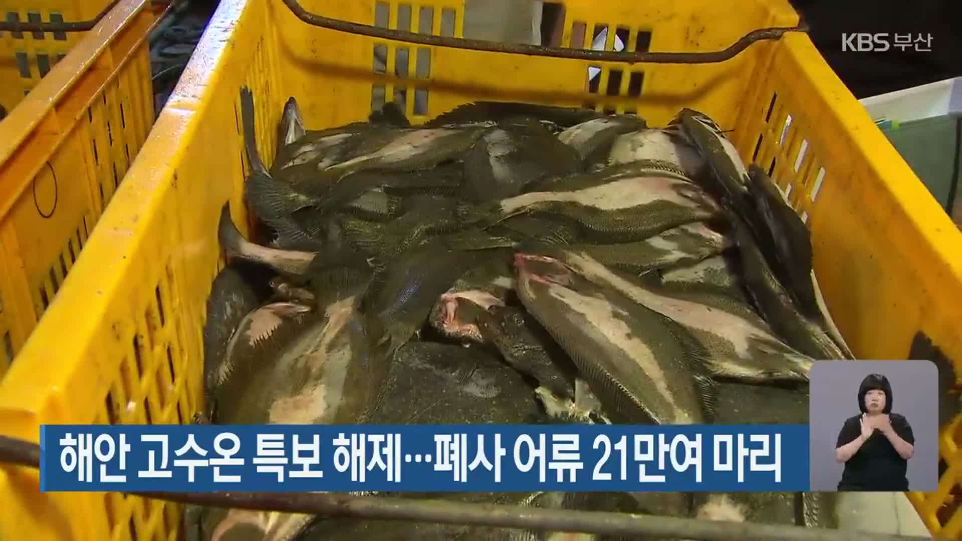 해안 고수온 특보 해제…폐사 어류 21만여 마리