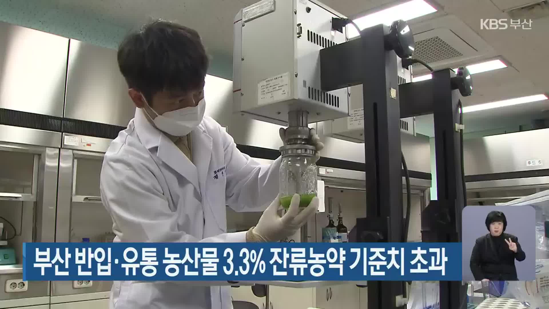 부산 반입·유통 농산물 3.3% 잔류농약 기준치 초과