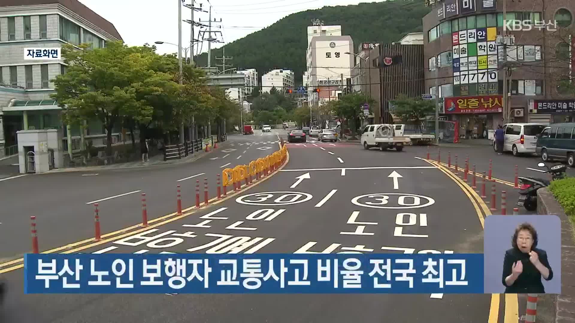 부산 노인 보행자 교통사고 비율 전국 최고