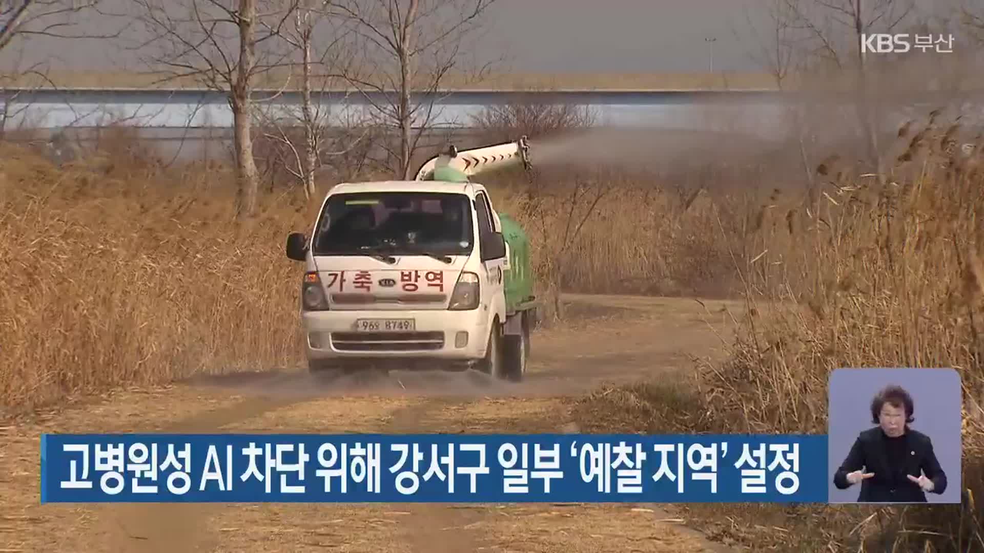 고병원성 AI 차단 위해 강서구 일부 ‘예찰 지역’ 설정