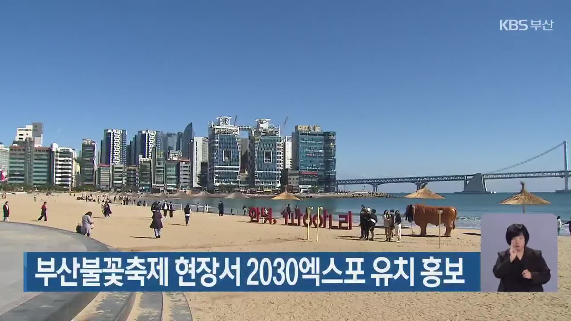 부산불꽃축제 현장서 2030엑스포 유치 홍보