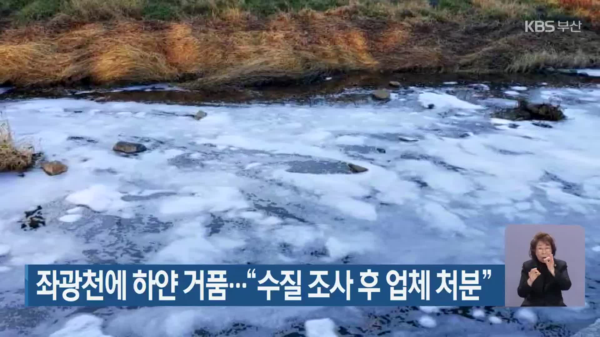 좌광천에 하얀 거품…“수질 조사 후 업체 처분”