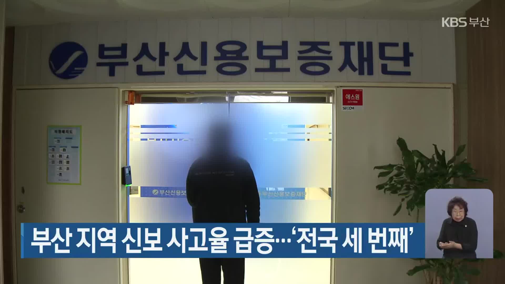 부산 지역 신보 사고율 급증…‘전국 세 번째’