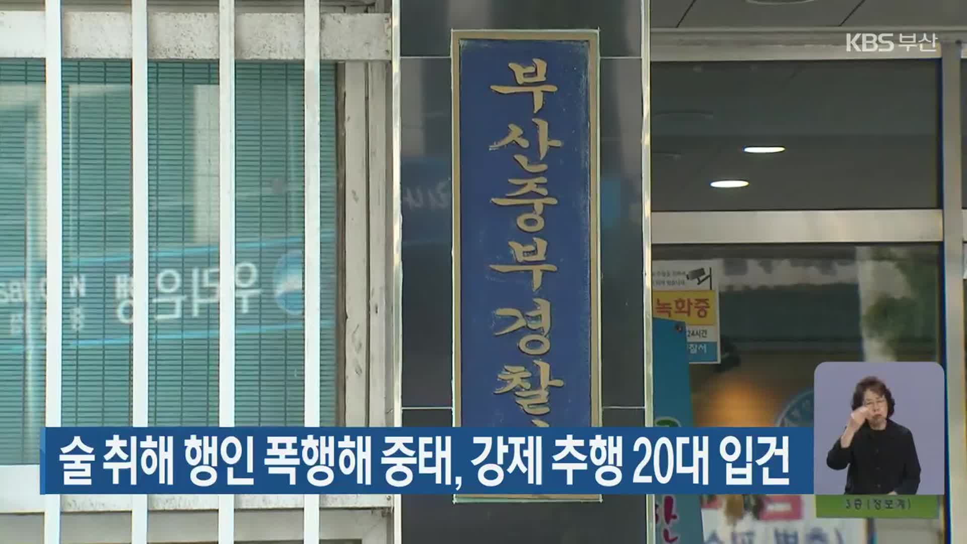 술 취해 행인 폭행해 중태, 강제 추행 20대 입건