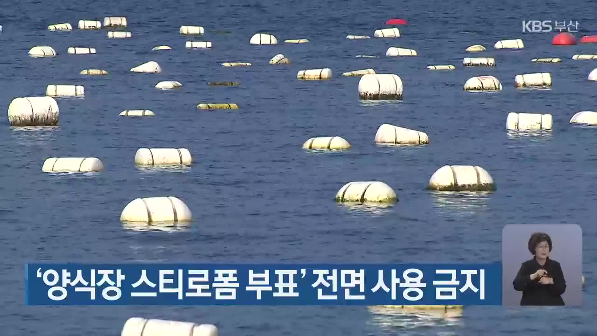 ‘양식장 스티로폼 부표’ 전면 사용 금지