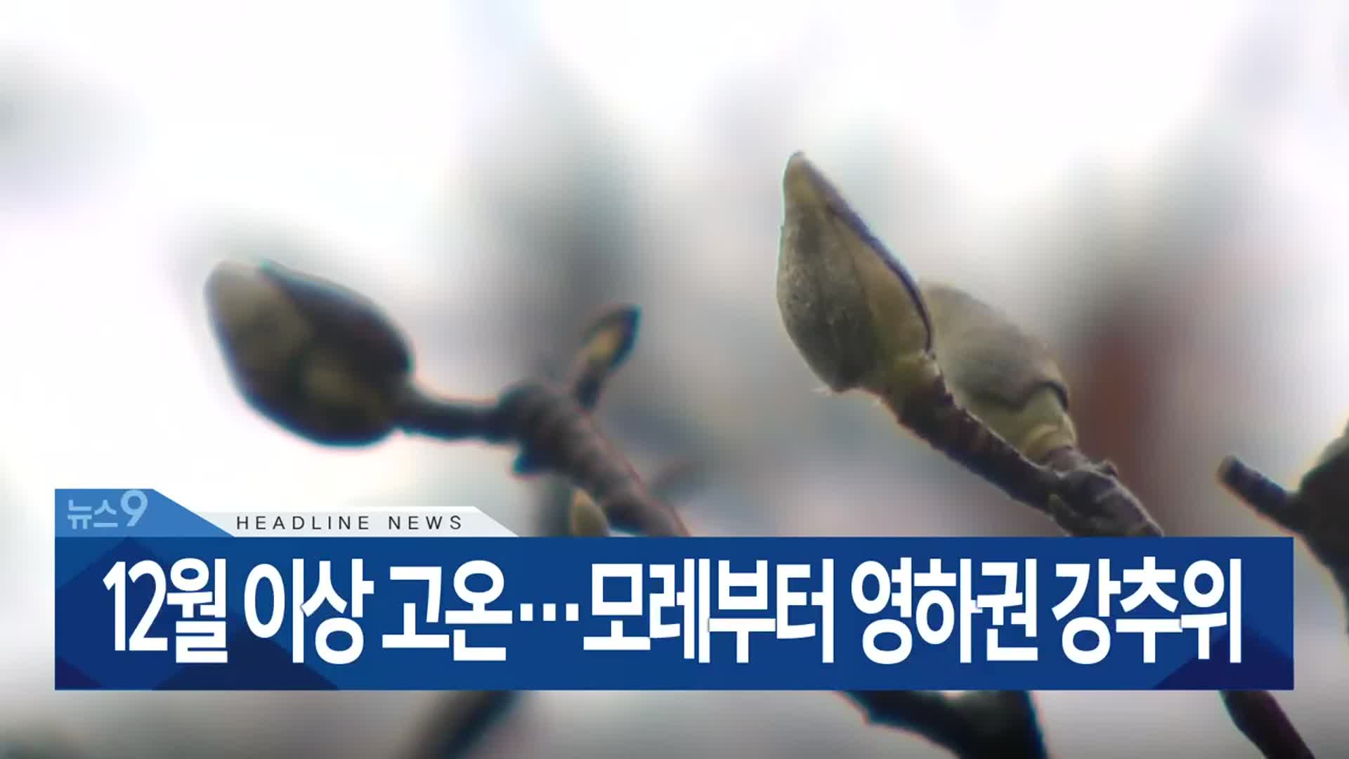 [뉴스9 부산 헤드라인]