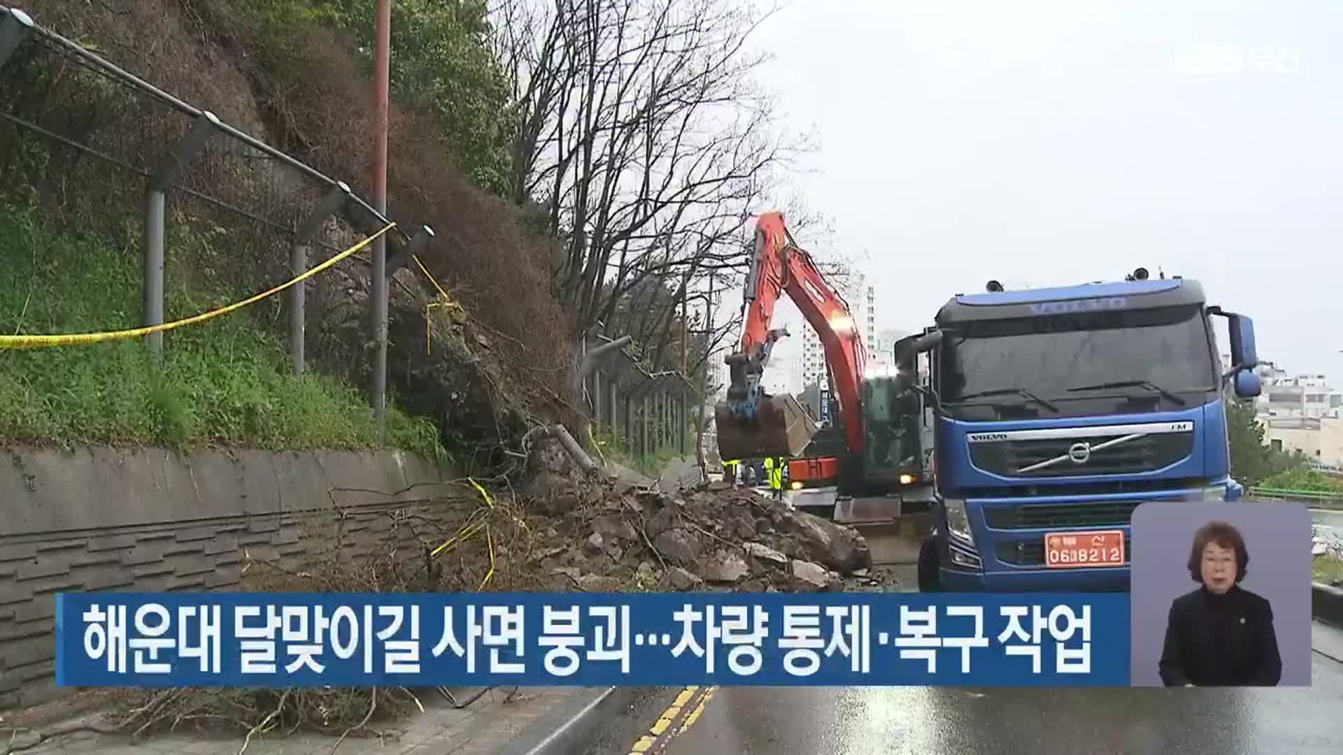 해운대 달맞이길 사면 붕괴…차량 통제·복구 작업