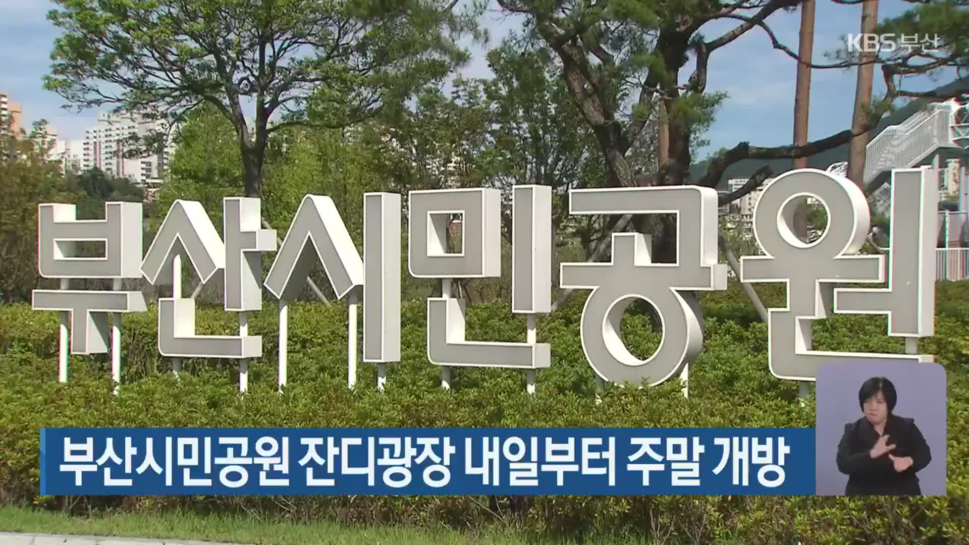 부산시민공원 잔디광장 내일부터 주말 개방