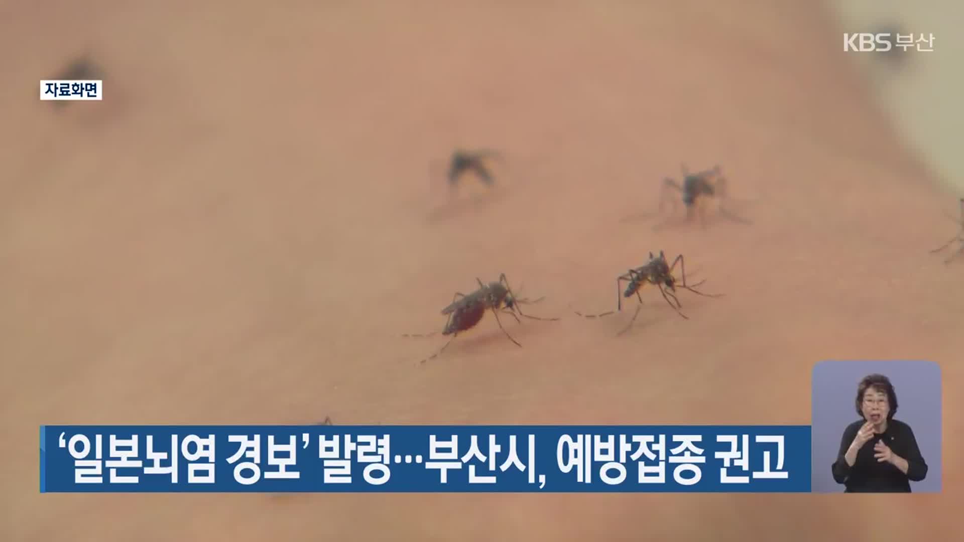 ‘일본뇌염 경보’ 발령…부산시, 예방접종 권고