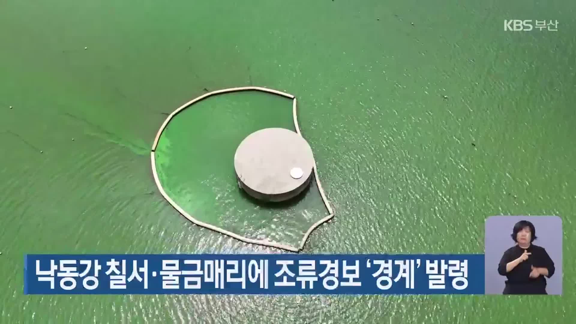 낙동강 칠서·물금매리에 조류경보 ‘경계’ 발령