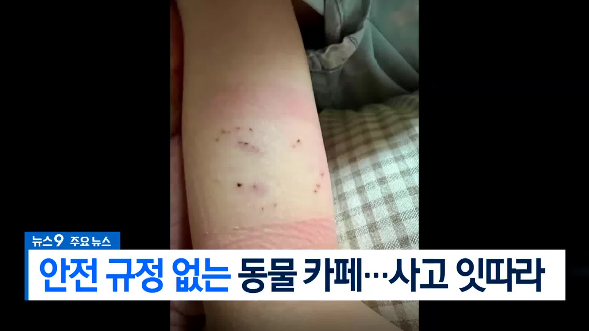 [뉴스9 부산 헤드라인]