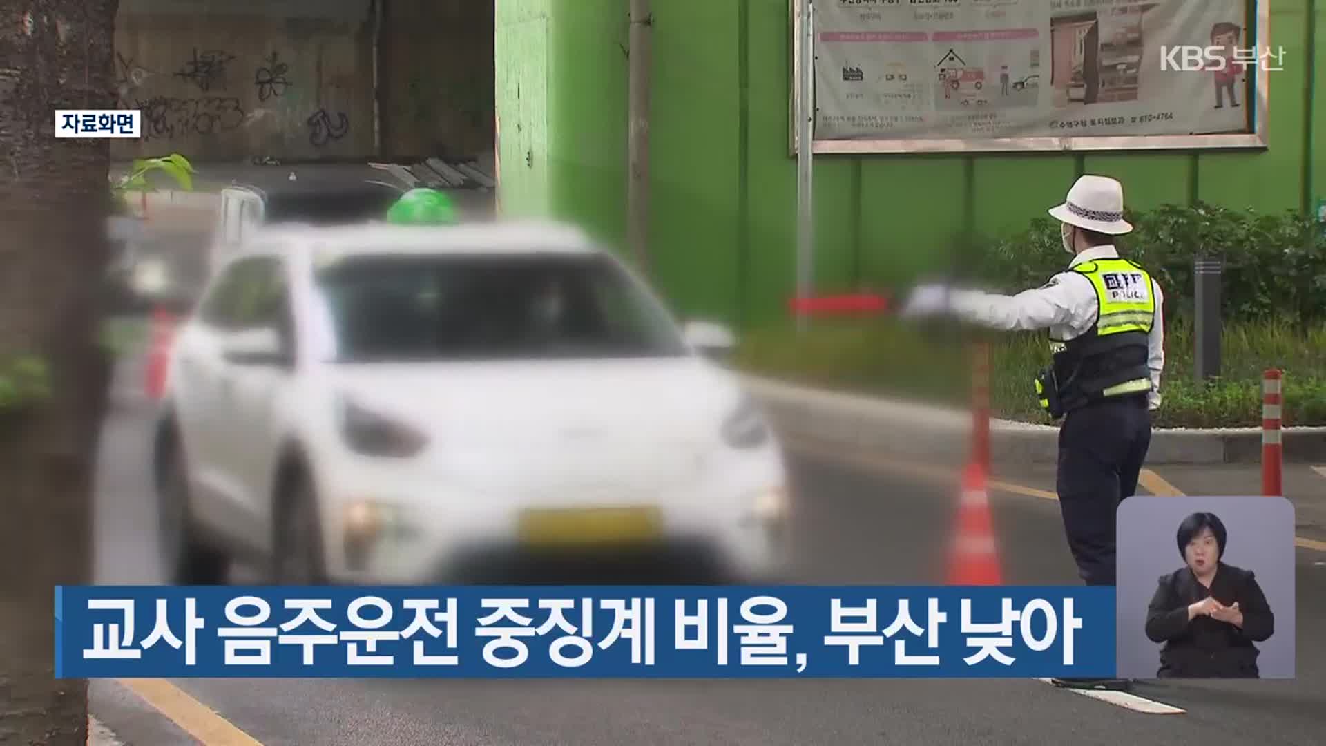 교사 음주운전 중징계 비율, 부산 낮아