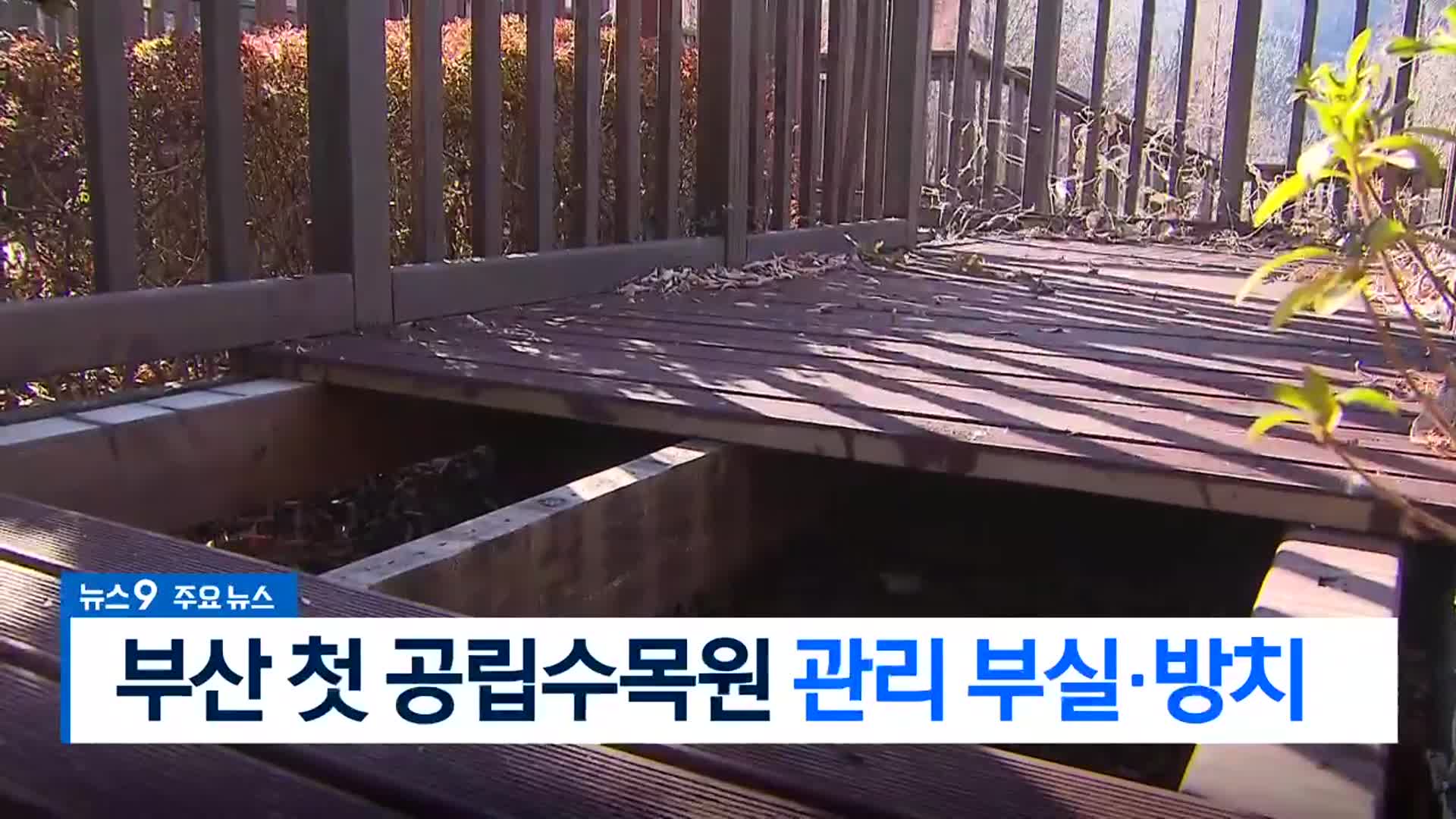 [뉴스9 부산 헤드라인]