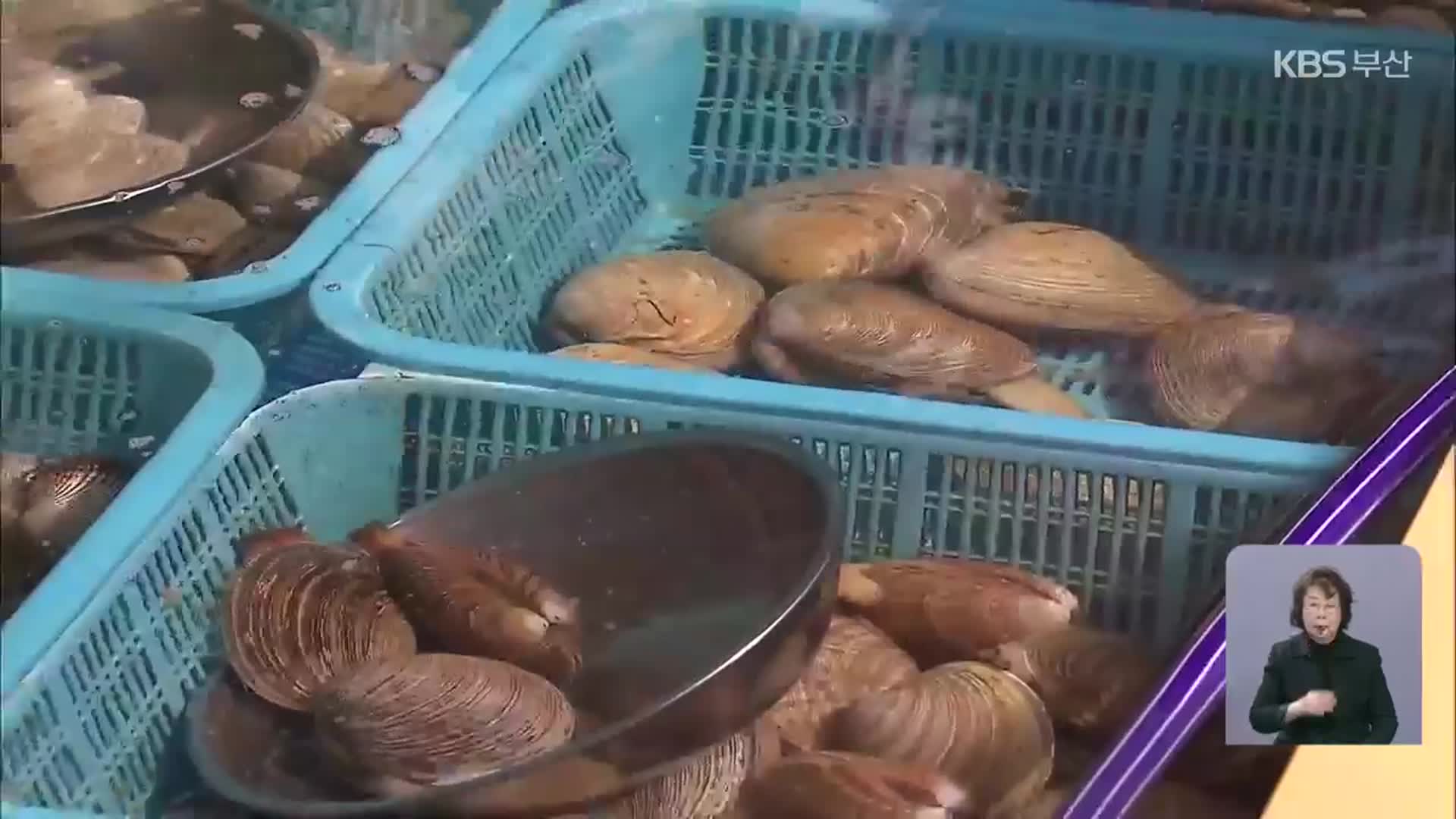 부산 연안에 올해 첫 마비성 패류독소 검출