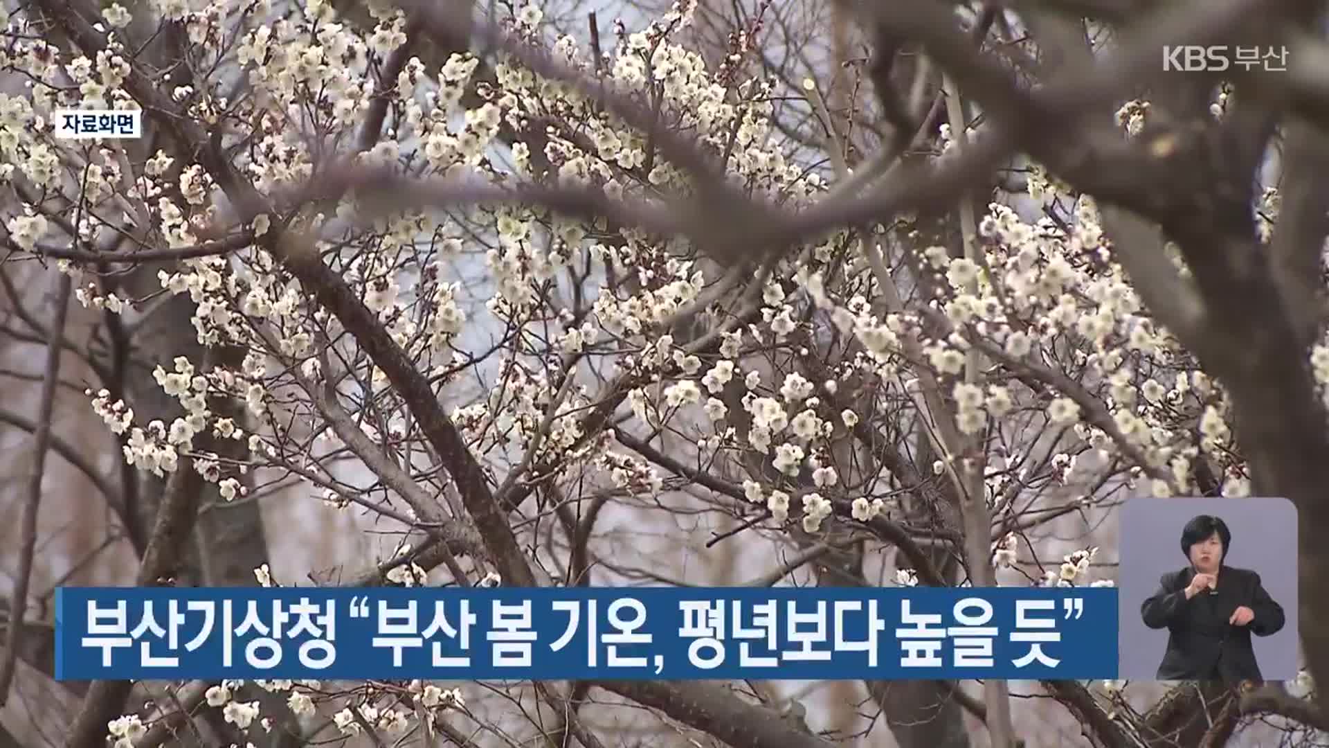 부산기상청 “부산 봄 기온, 평년보다 높을 듯”
