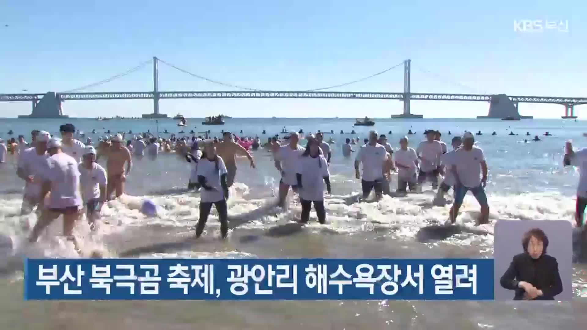 부산 북극곰 축제, 광안리 해수욕장서 열려