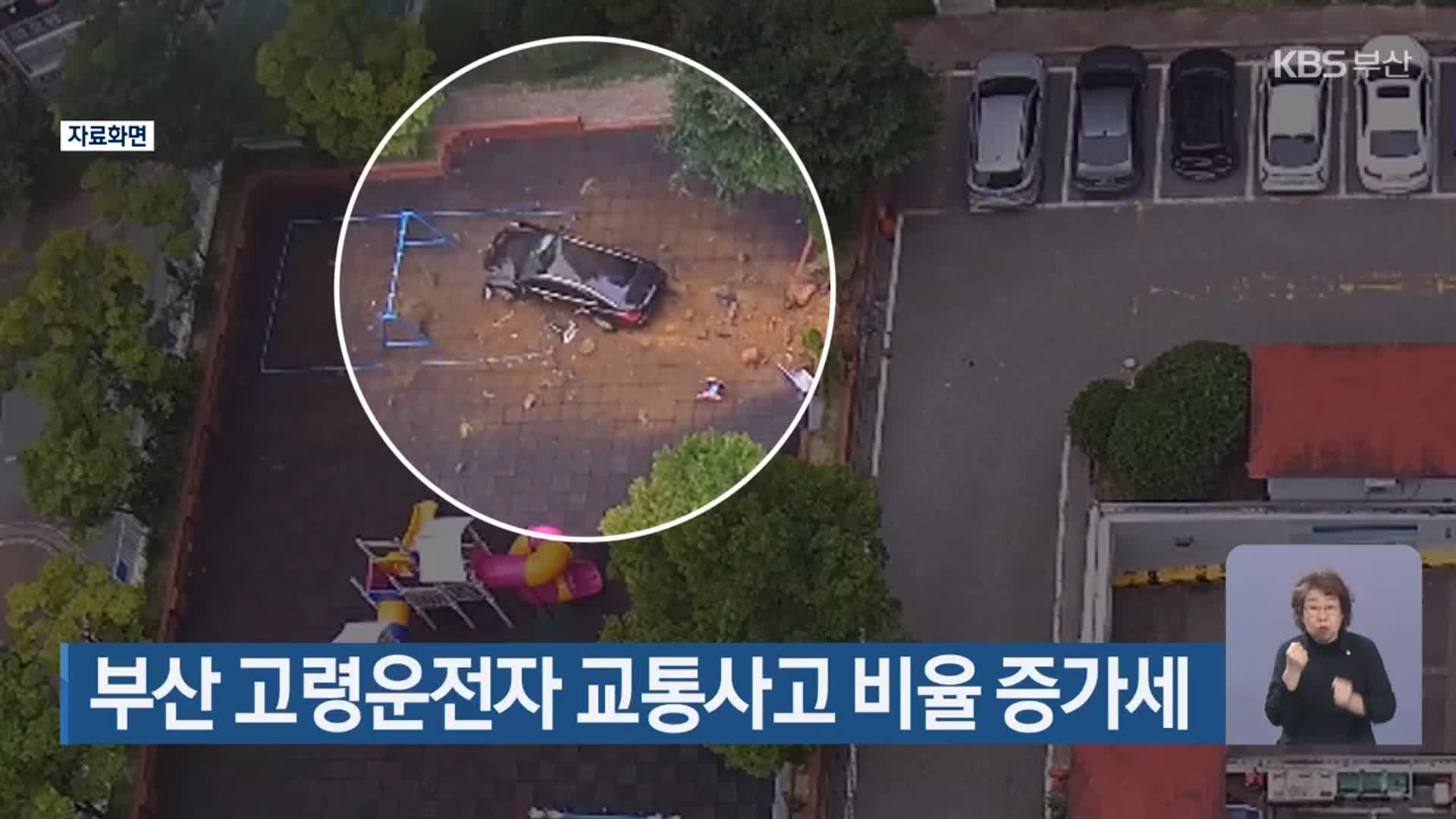 부산 고령운전자 교통사고 비율 증가세