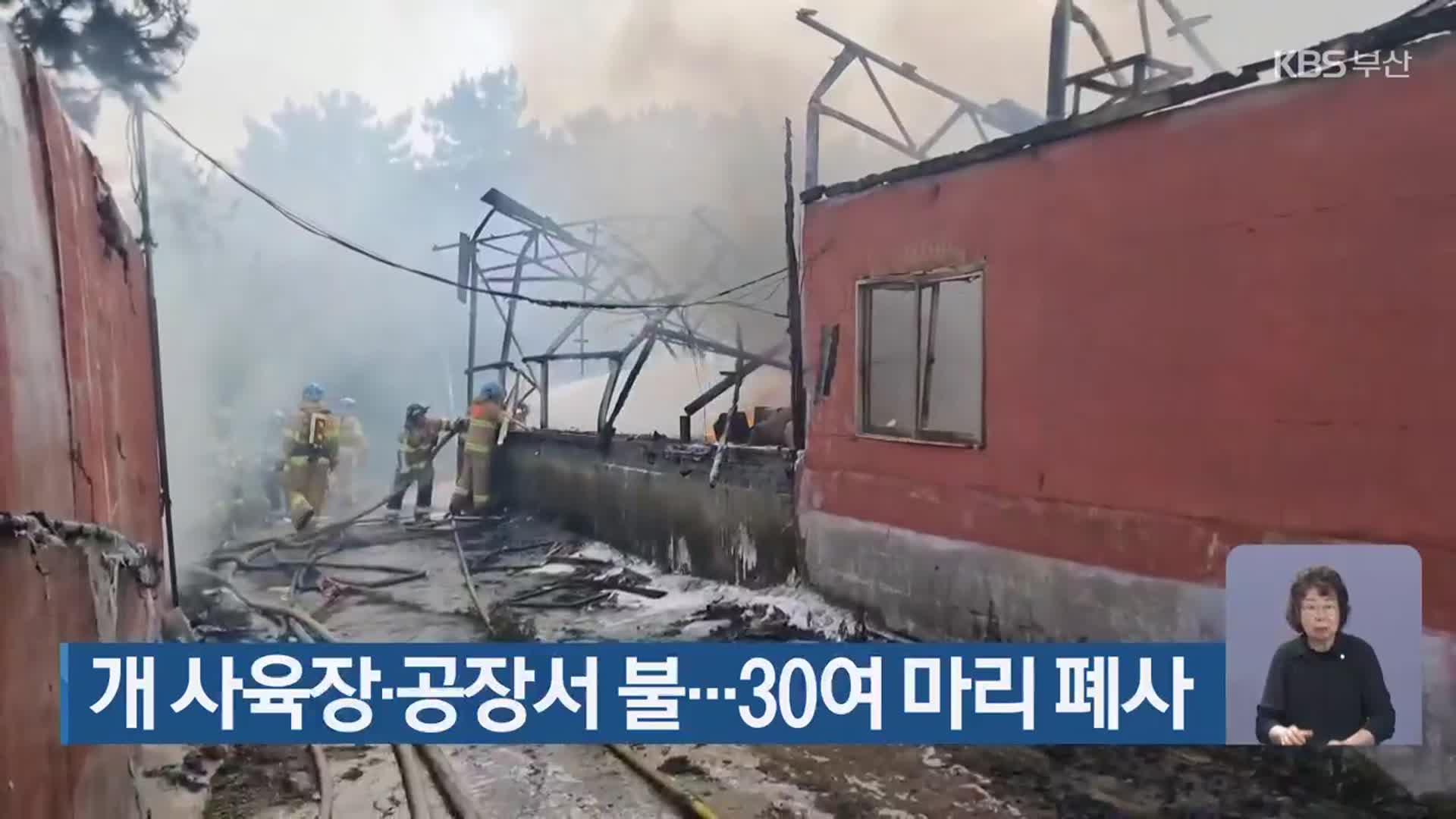 개 사육장·공장서 불…30여 마리 폐사